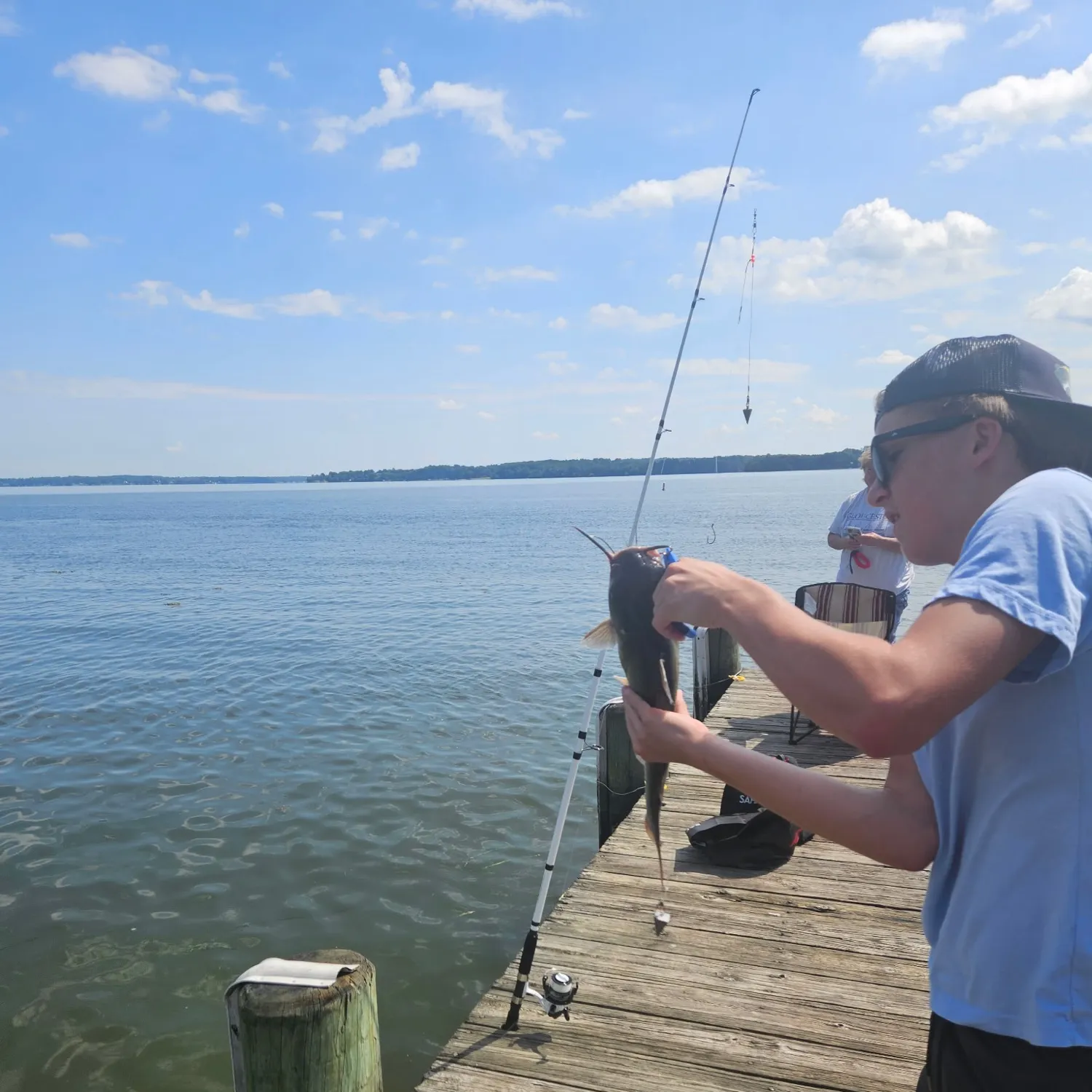 Channel catfish caught on Fishbrain