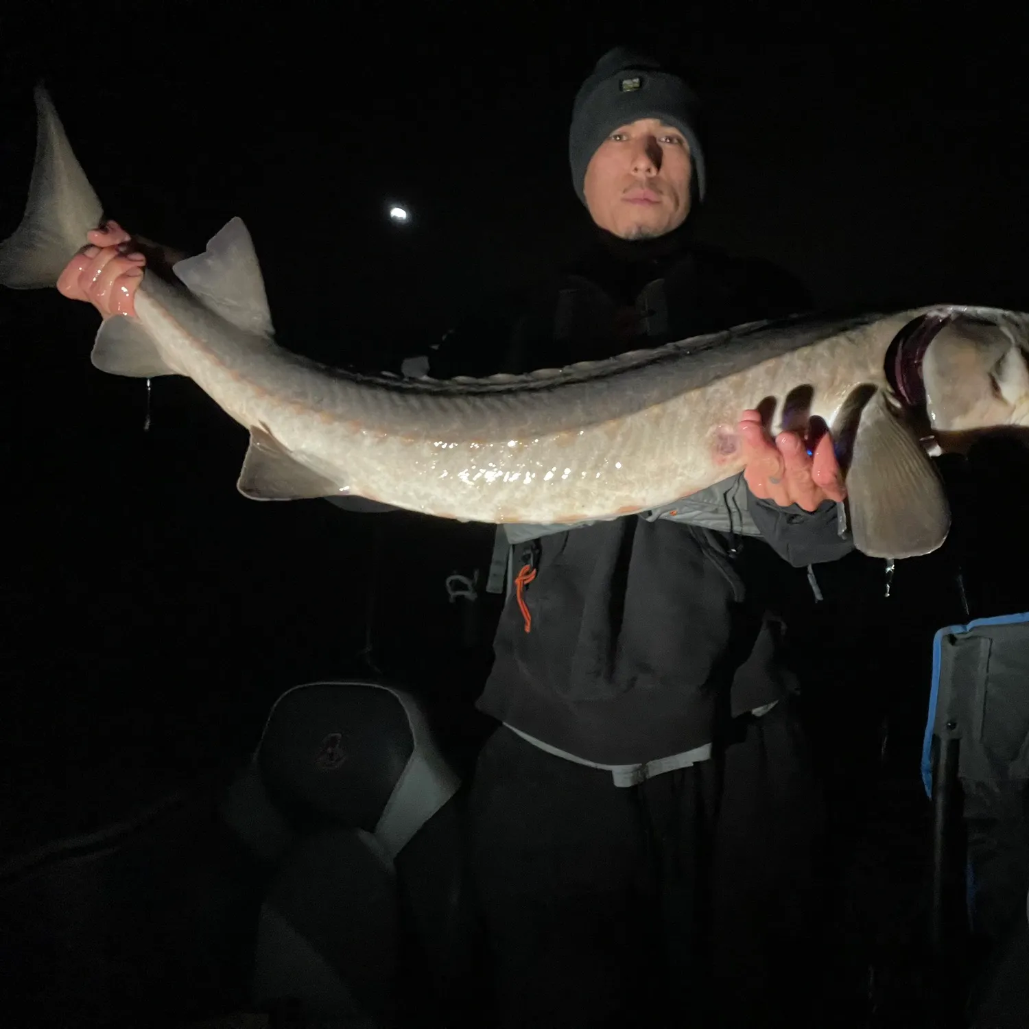 Lake sturgeon caught on Fishbrain