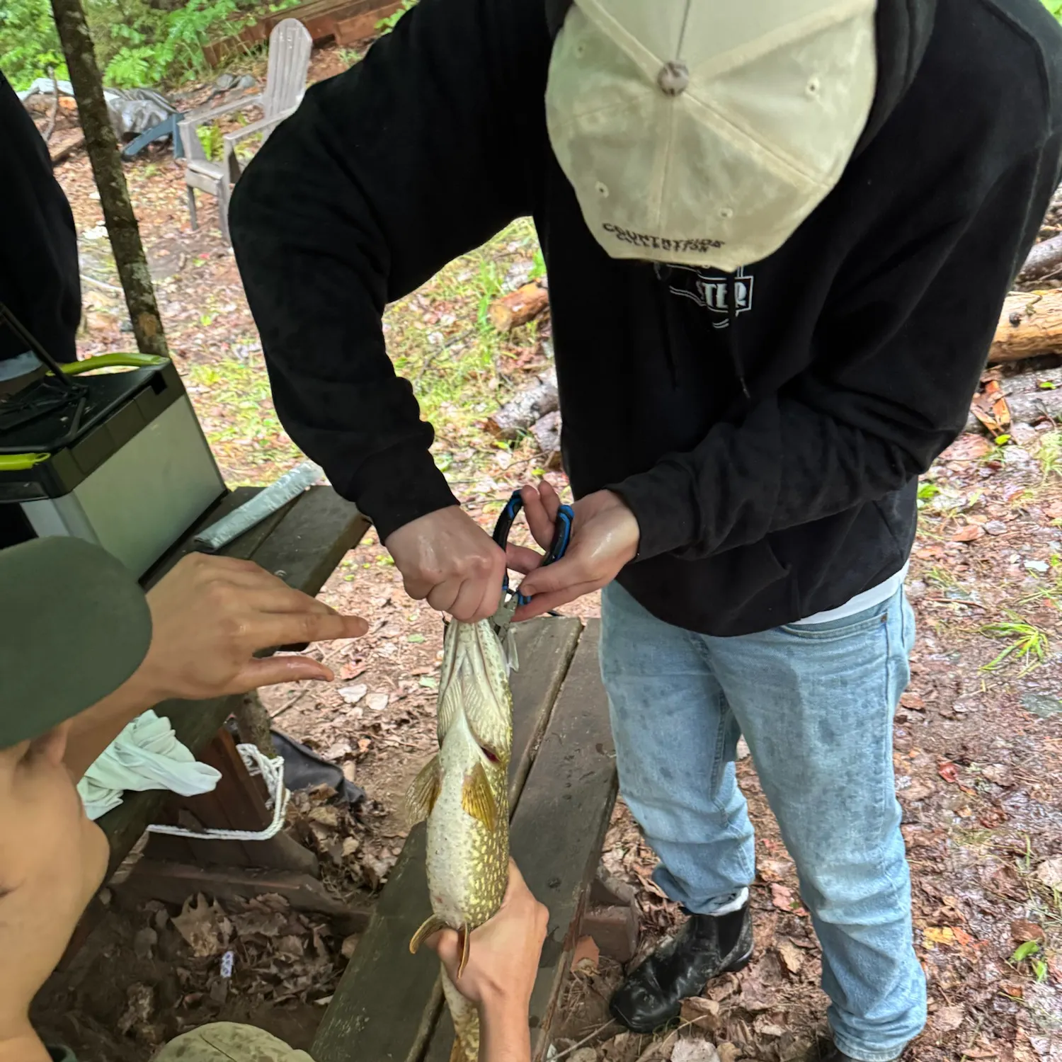 Northern pike caught on Fishbrain
