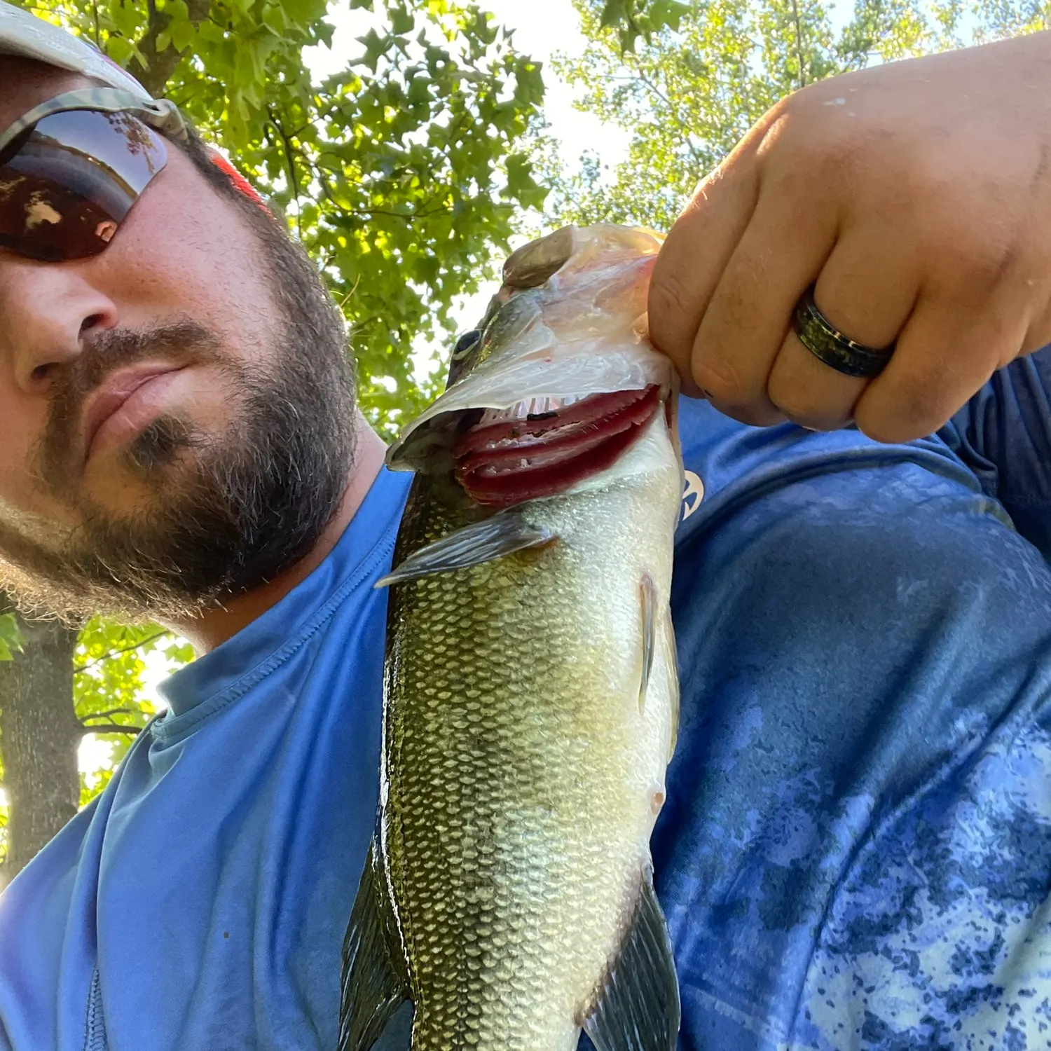 Largemouth bass caught on Fishbrain