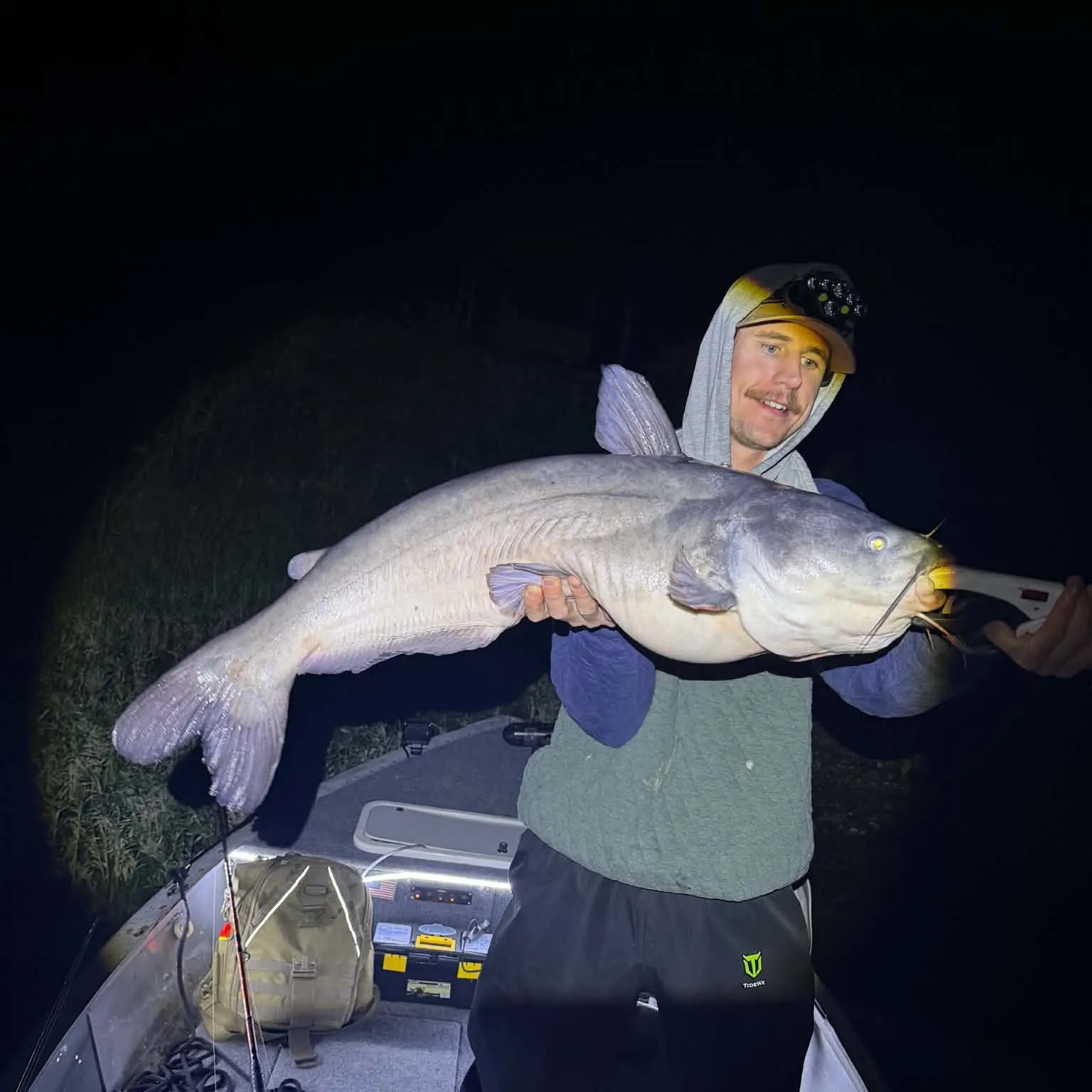 Blue catfish caught on Fishbrain