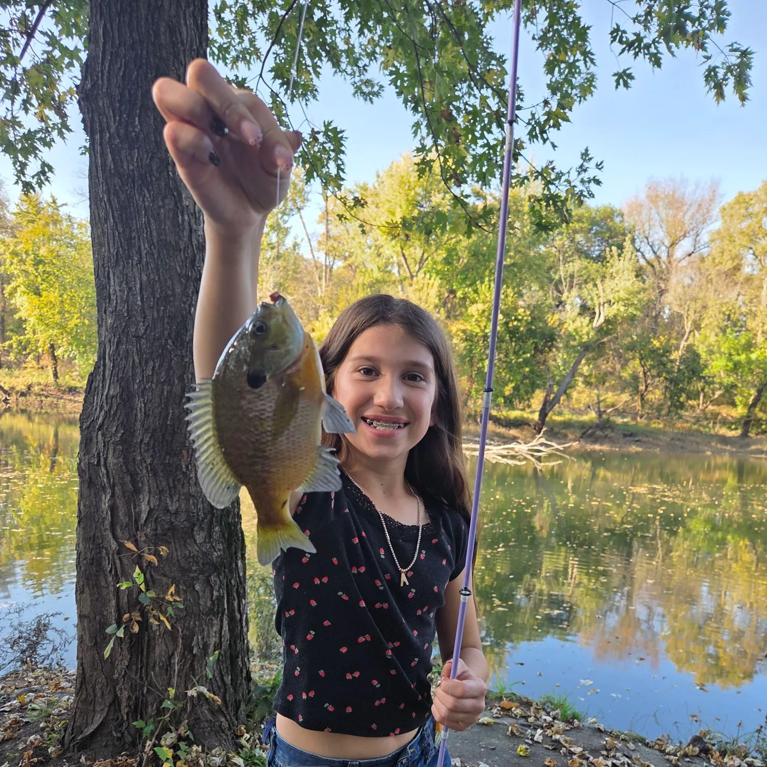 Bluegill caught on Fishbrain