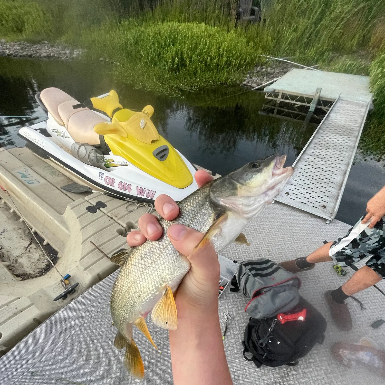 catch