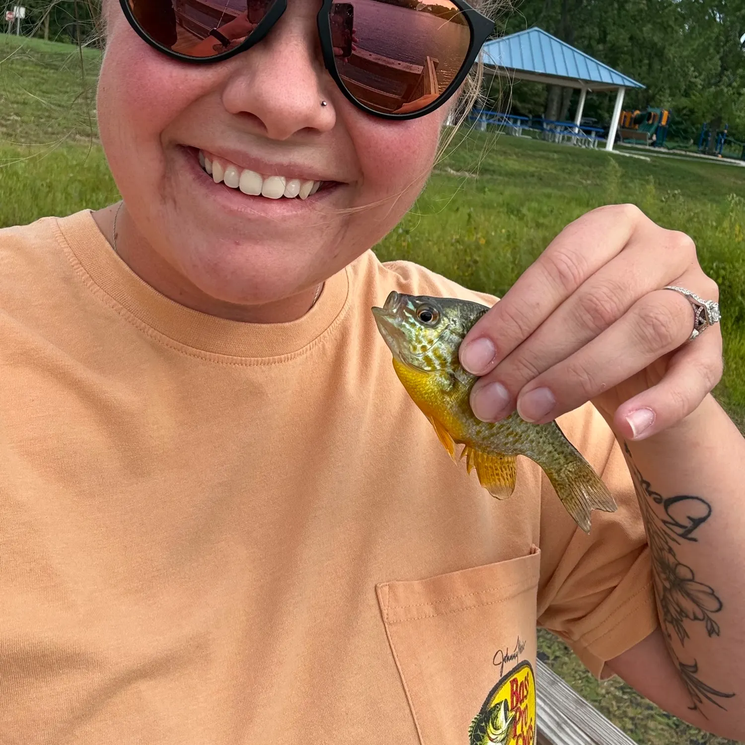 Fish caught on Fishbrain