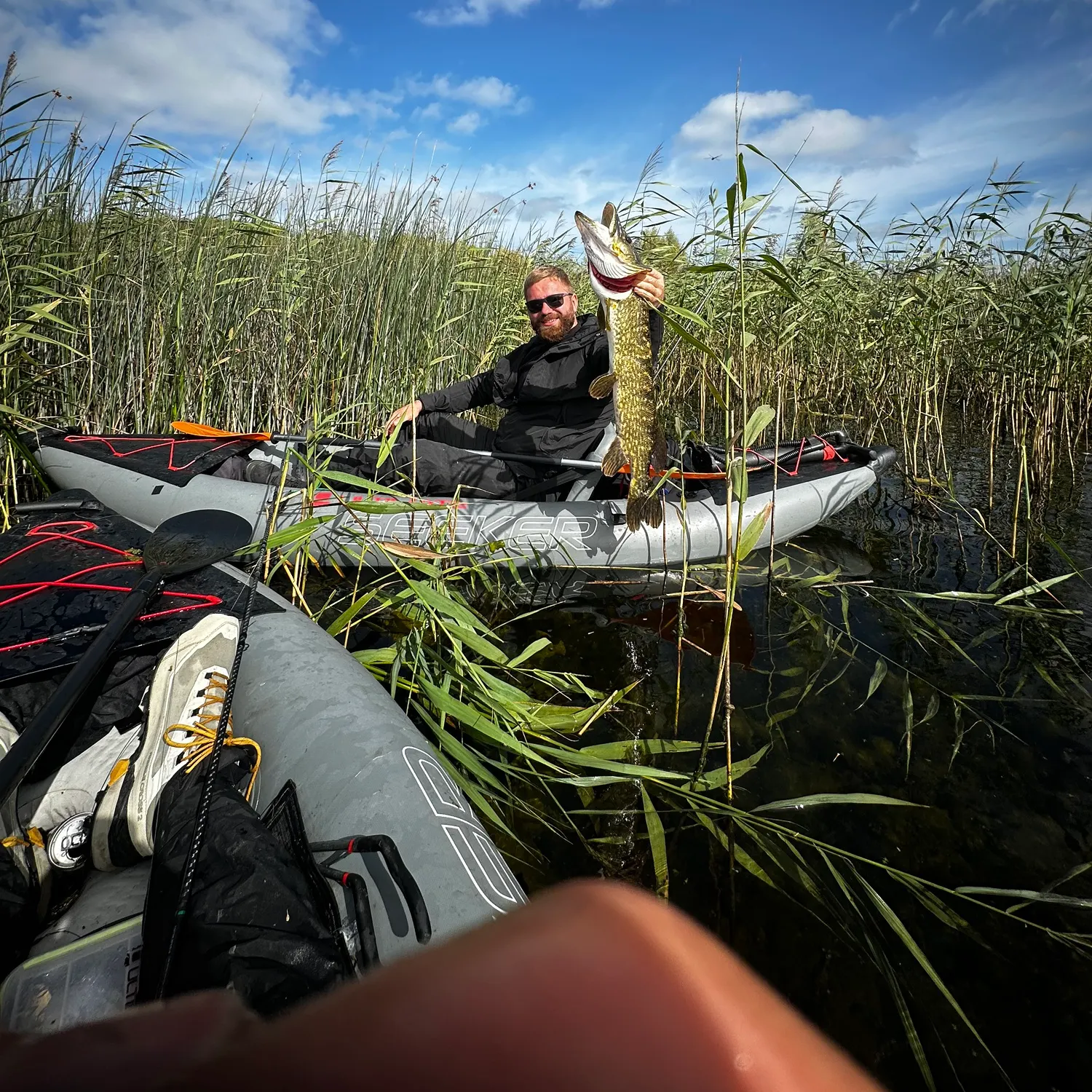 Northern pike caught on Fishbrain