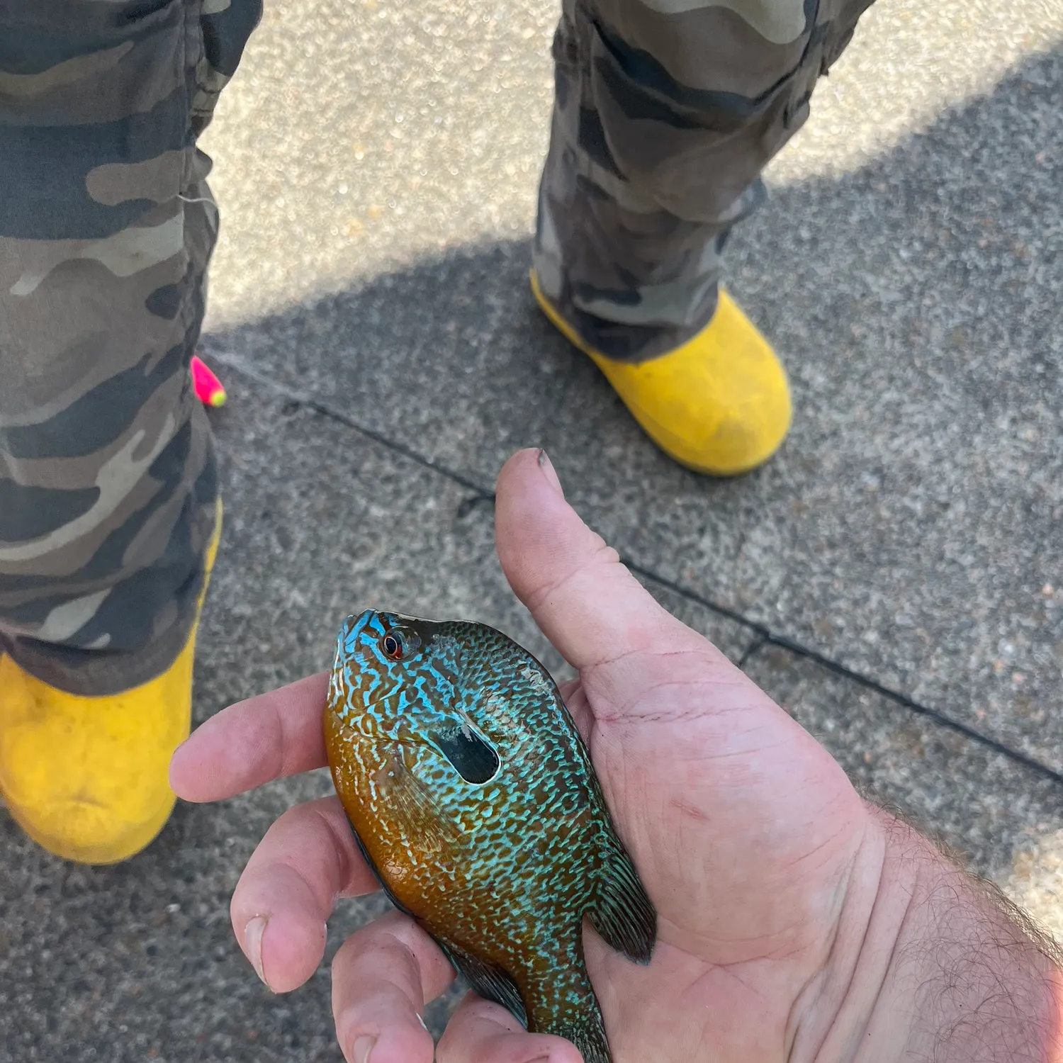 catch