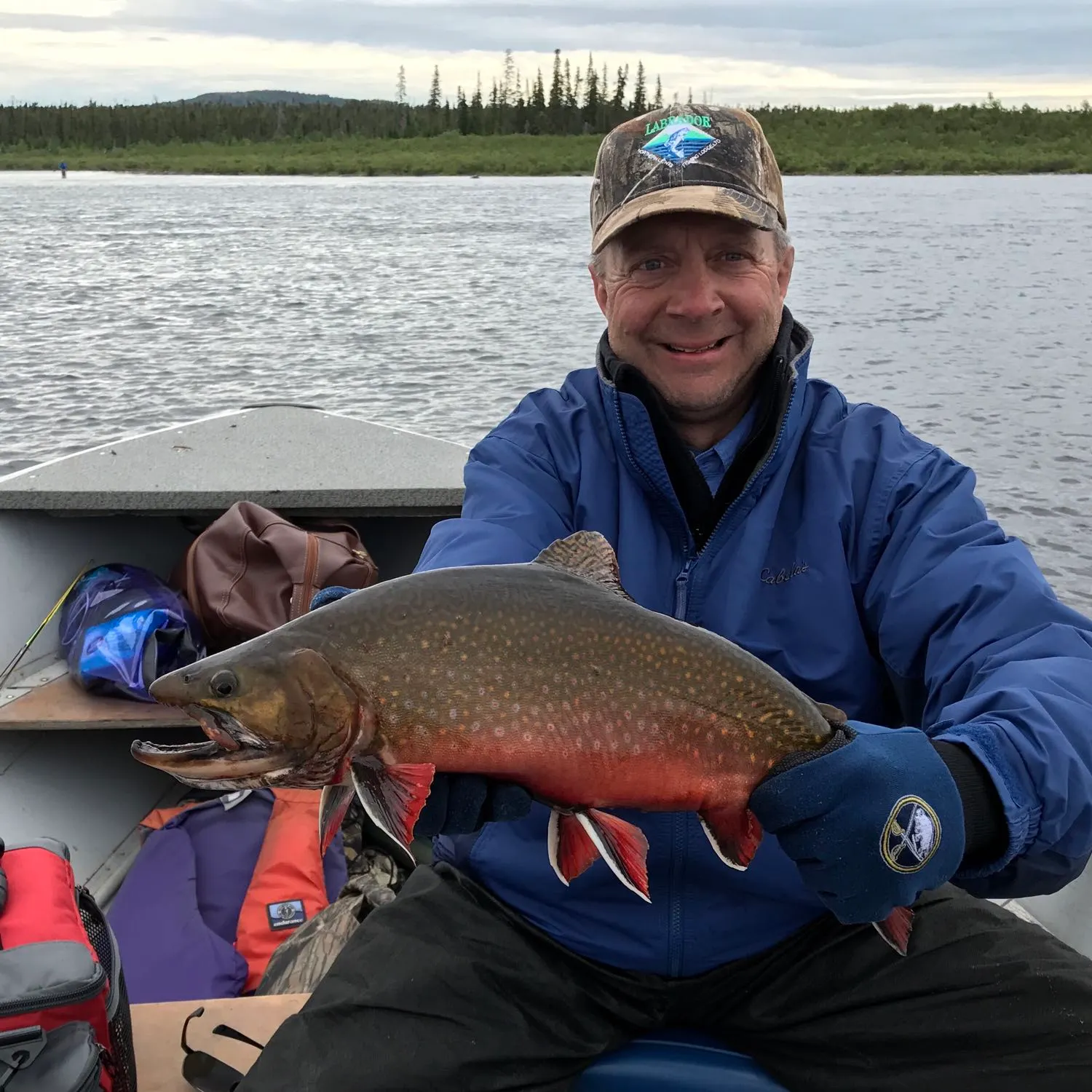 Brook trout caught on Fishbrain