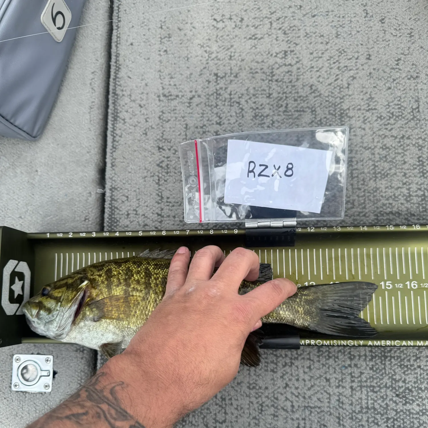 recently logged catches