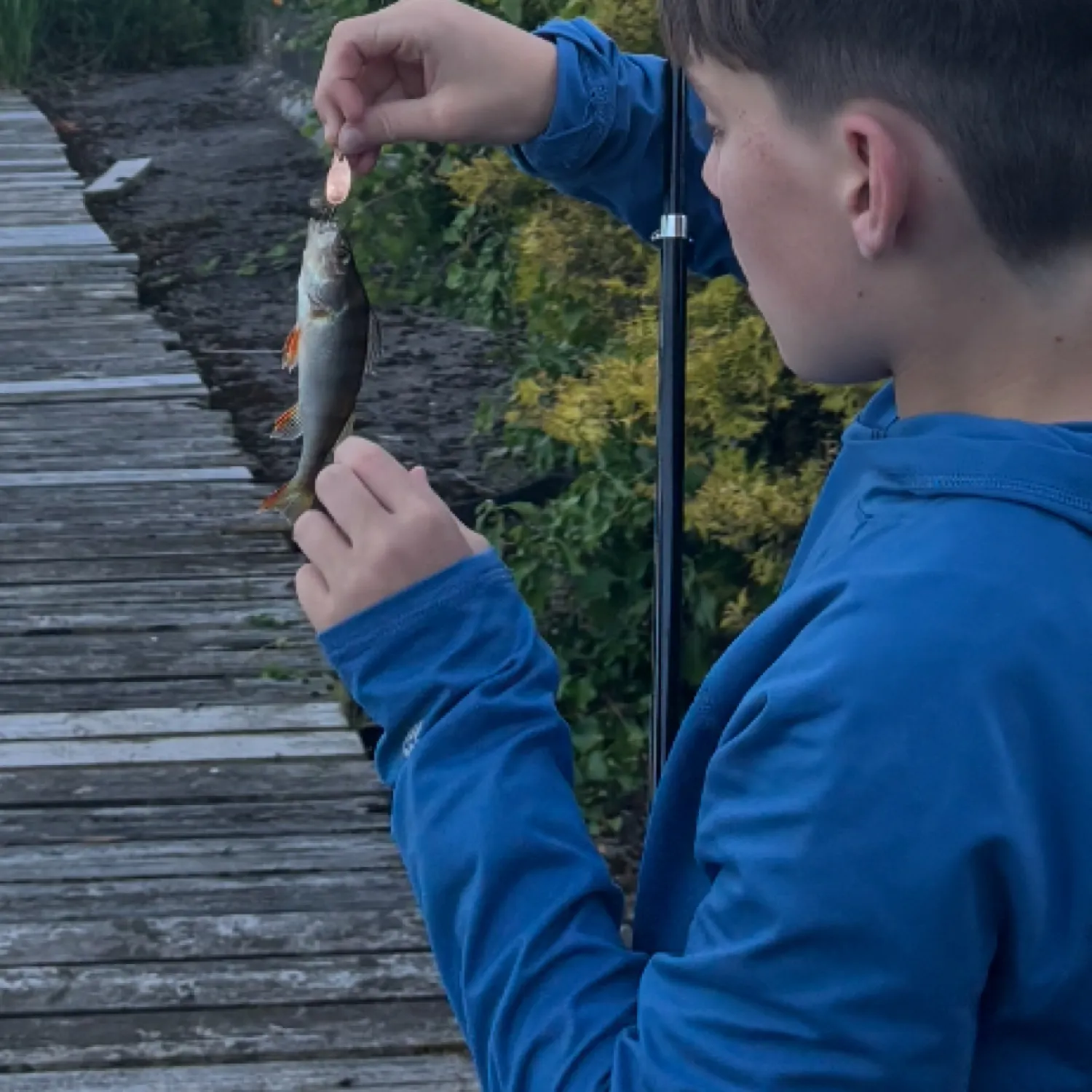 recently logged catches