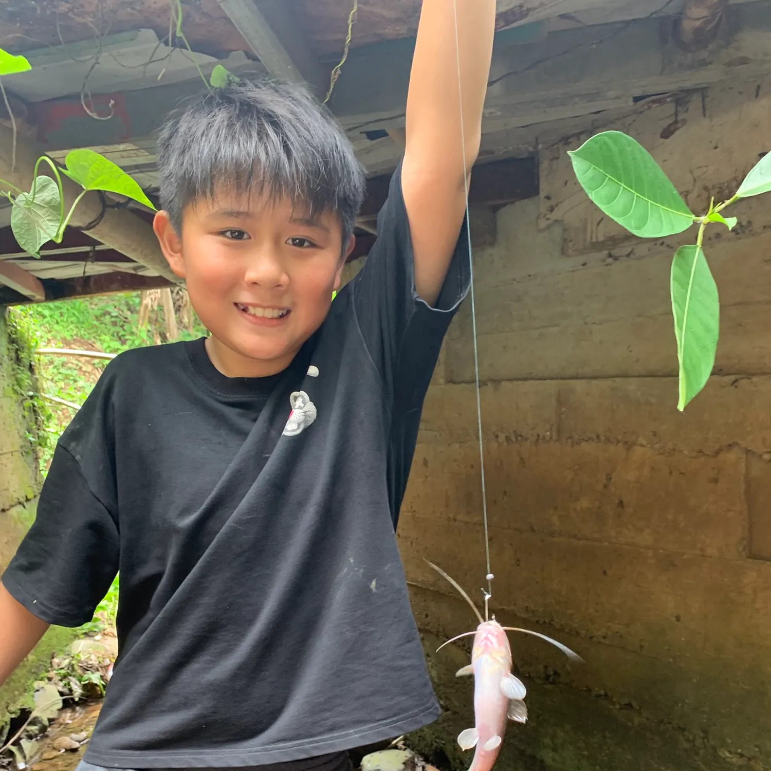 Channel catfish caught on Fishbrain