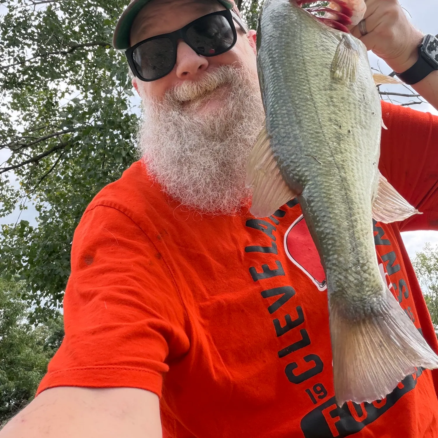 Largemouth bass caught on Fishbrain