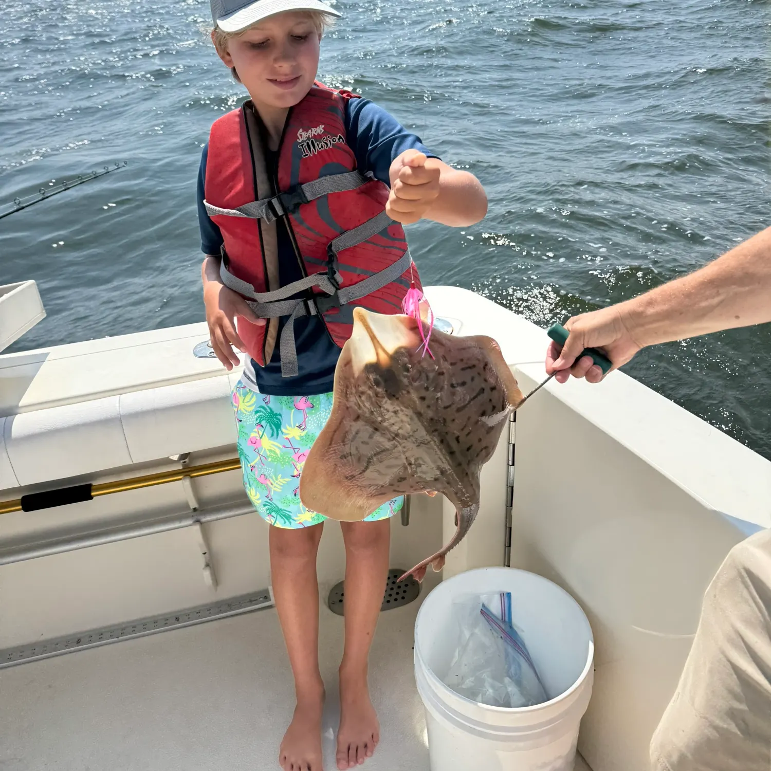 The most recent Little Skate catches on Fishbrain