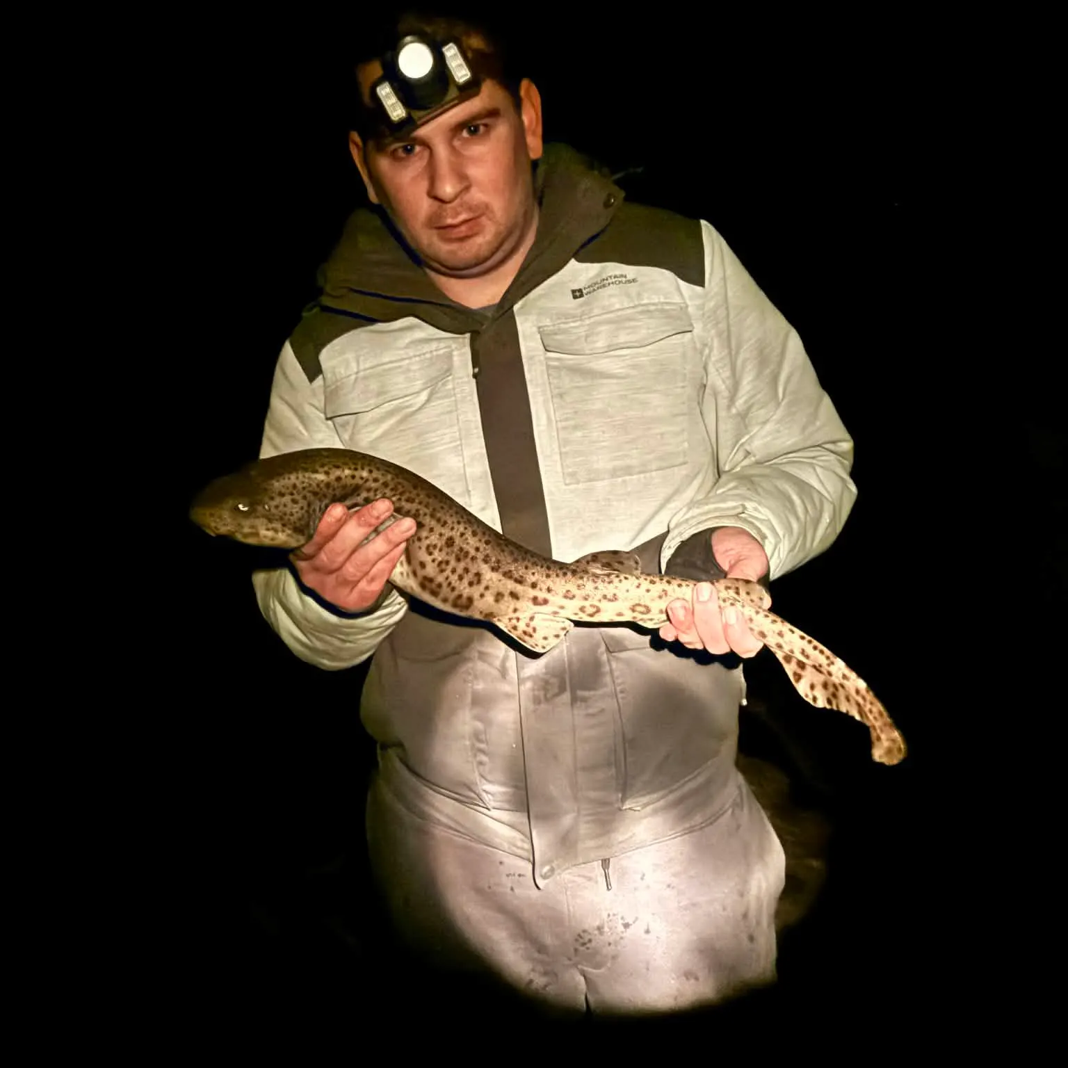 The most recent Nursehound catches on Fishbrain