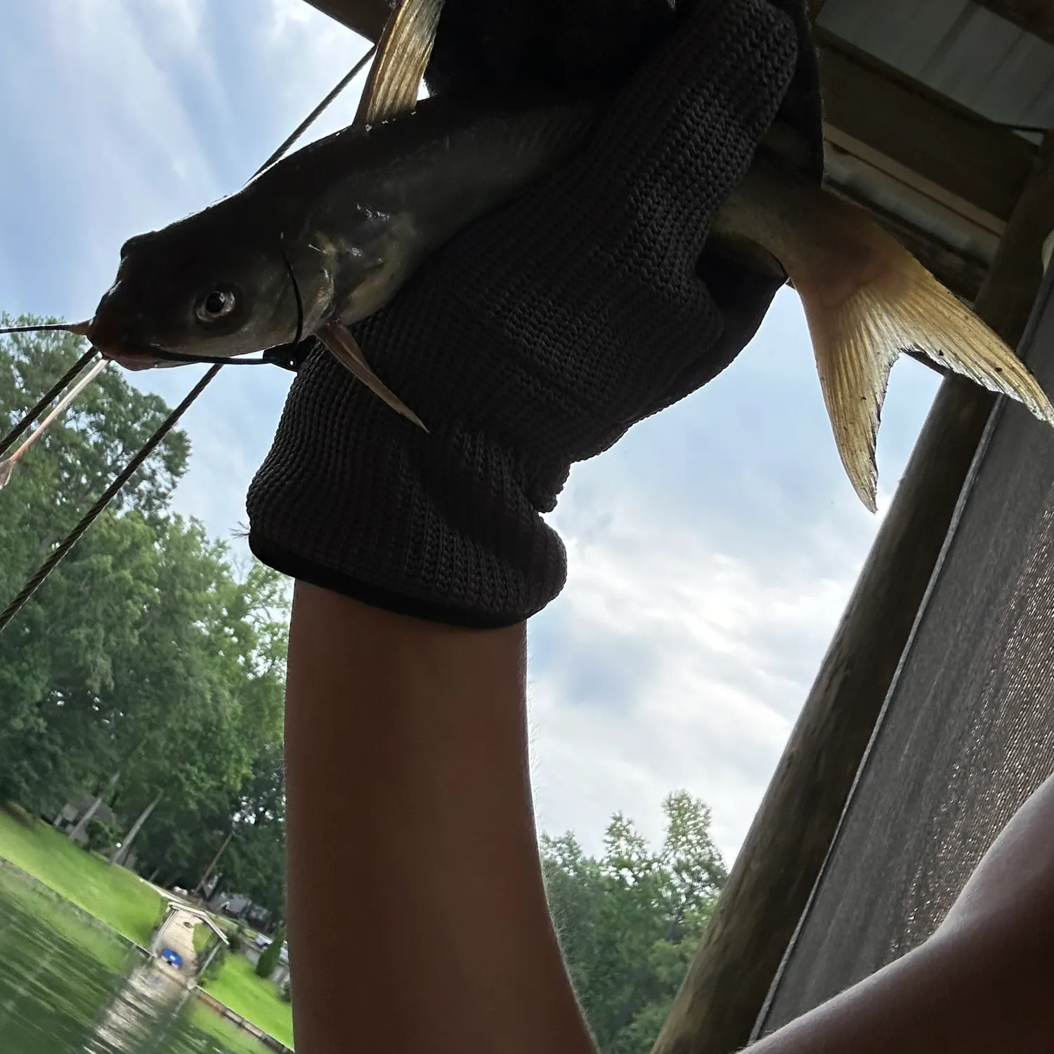 catch
