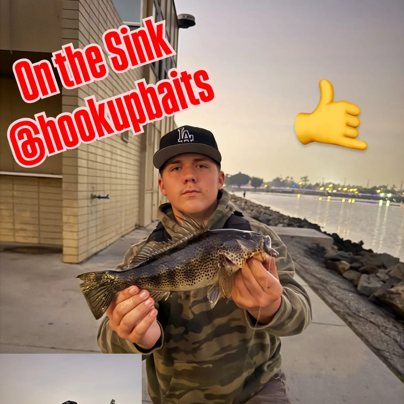 The most recent Spotted sand bass catches on Fishbrain