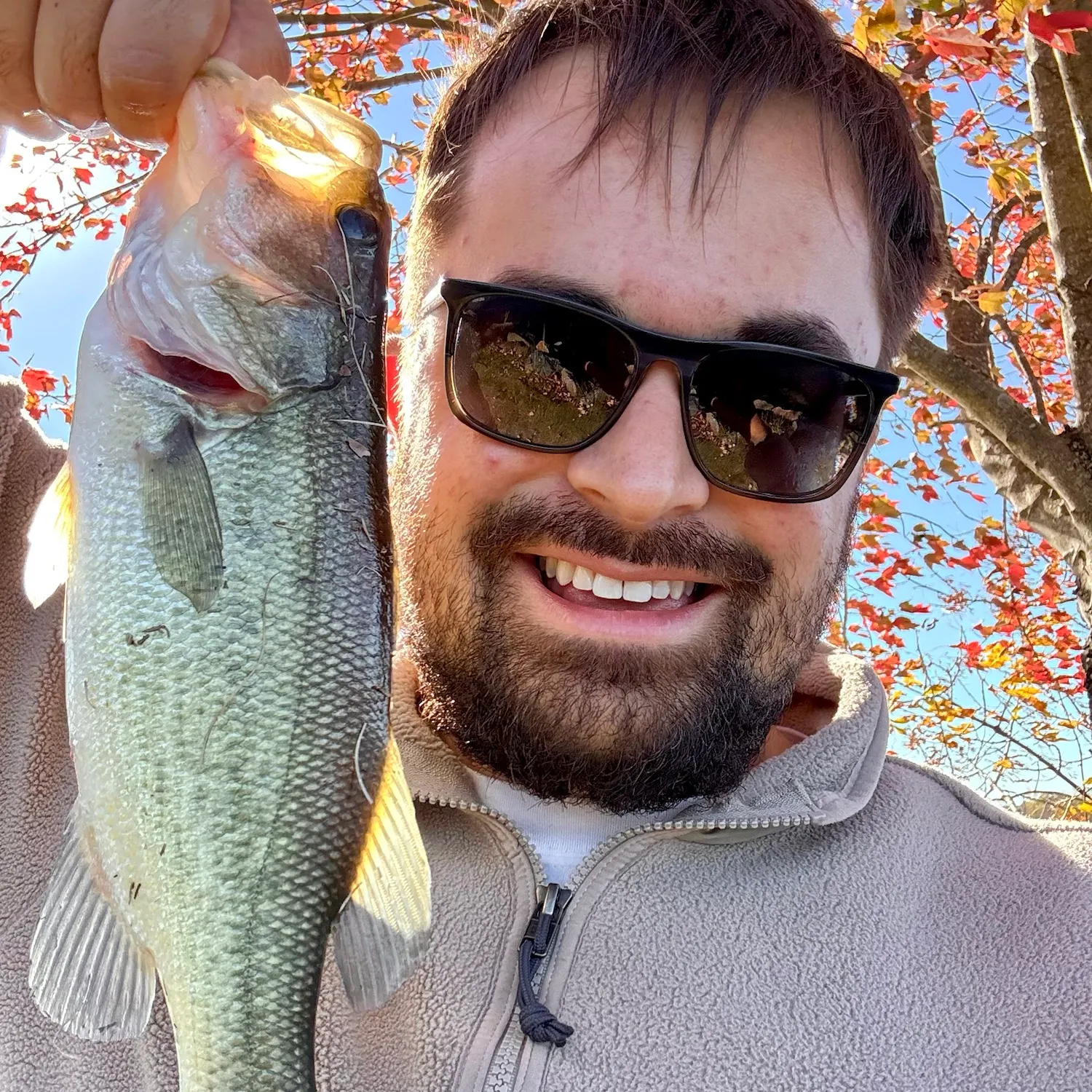 Largemouth bass caught on Fishbrain
