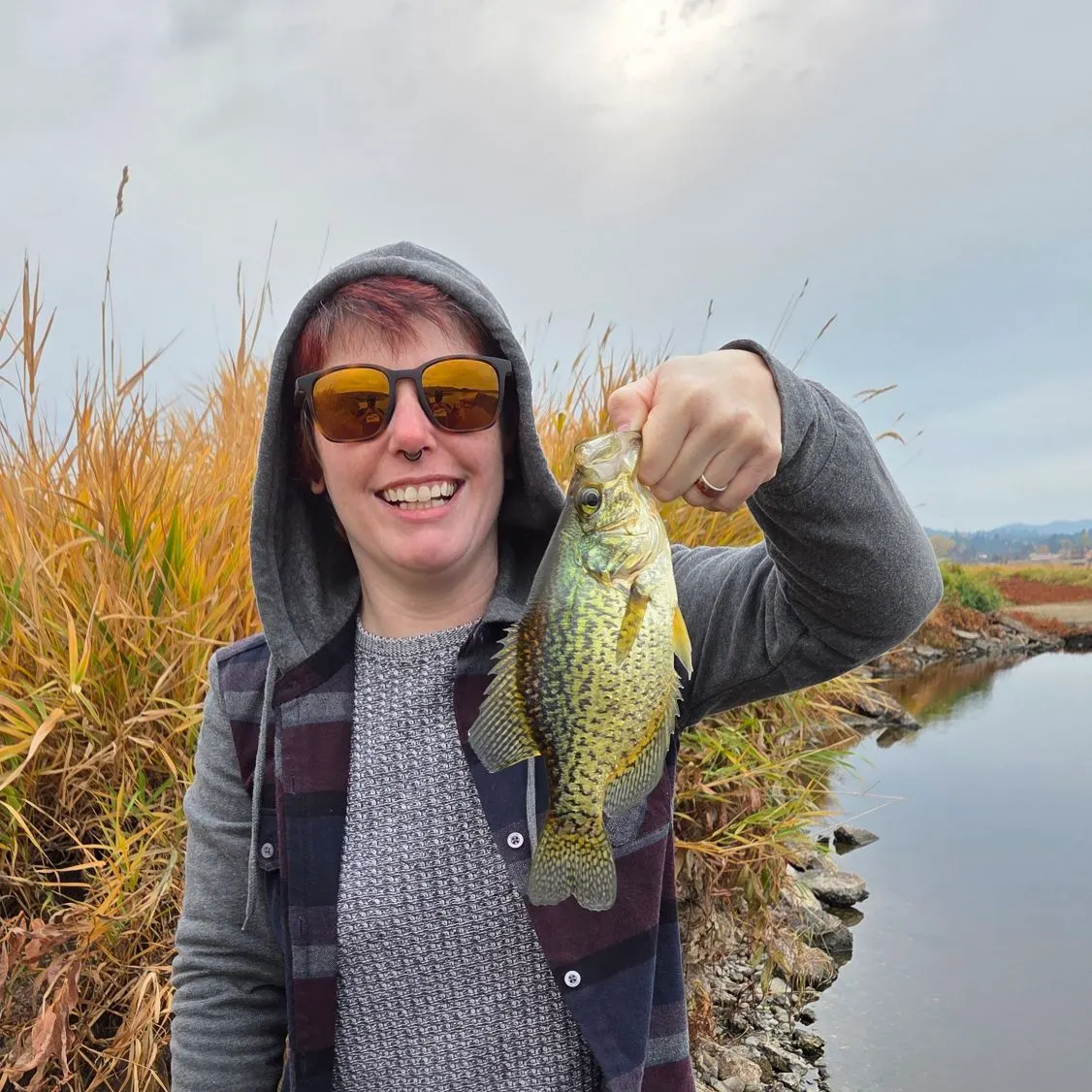 Black crappie caught on Fishbrain
