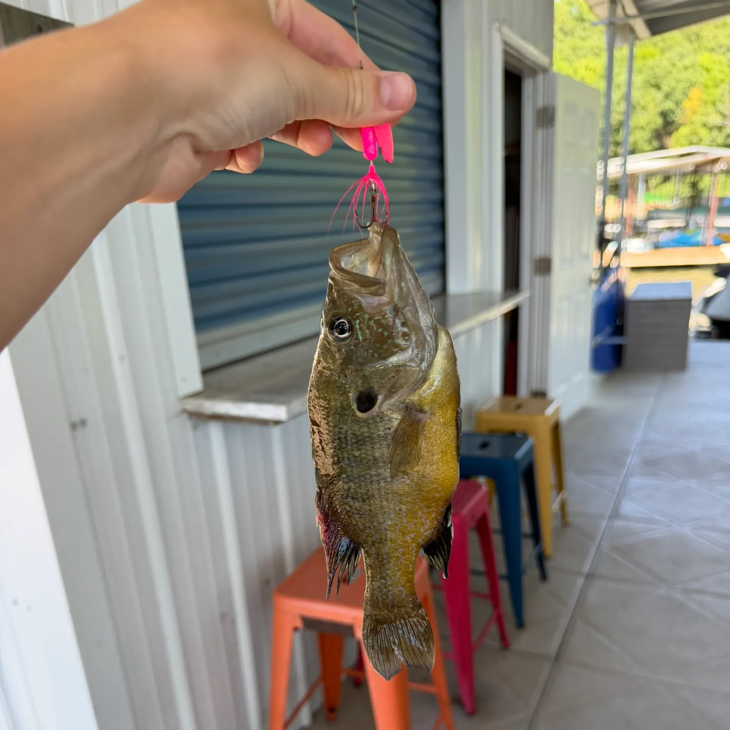 catch