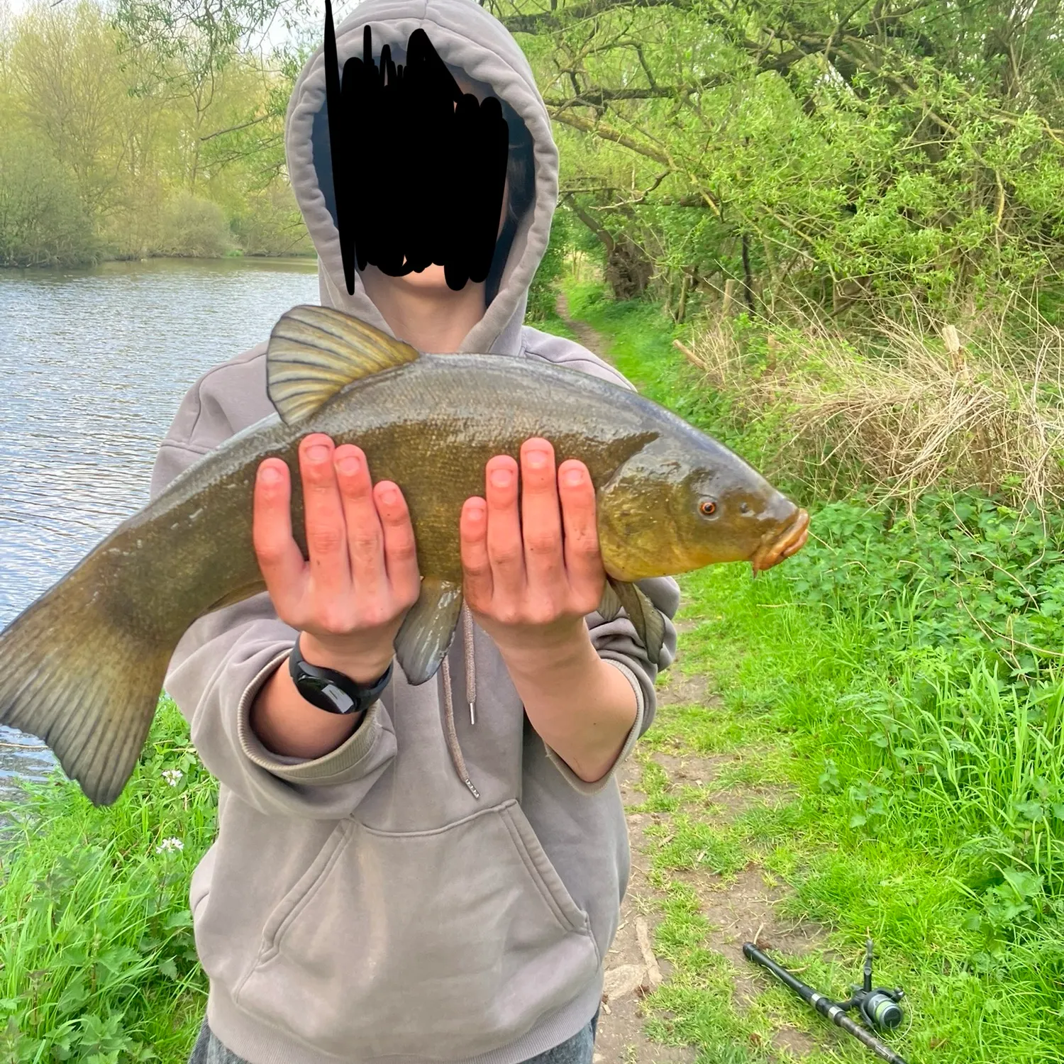 The most recent Tench catches on Fishbrain