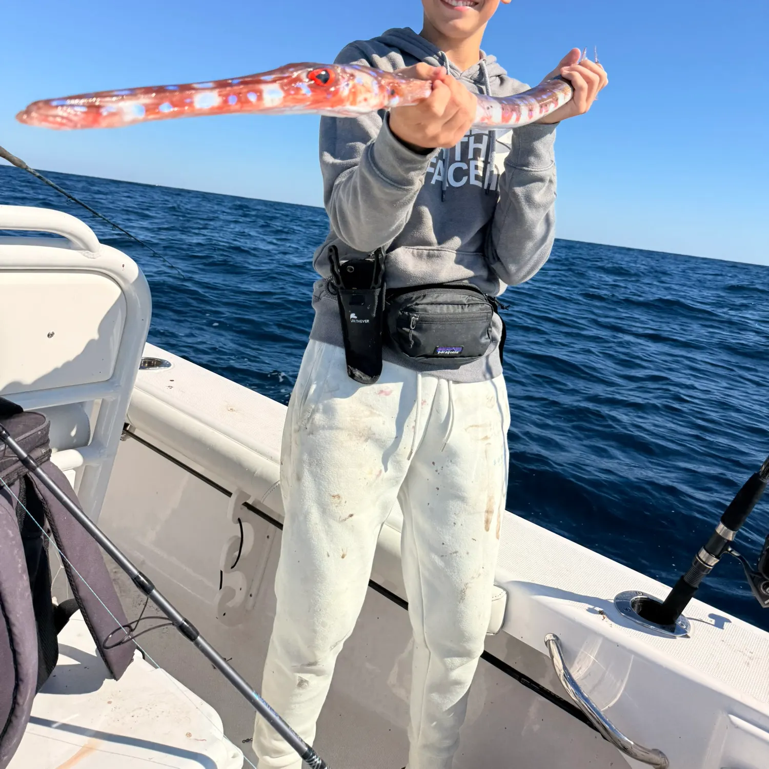 The most recent Chinese trumpetfish catches on Fishbrain