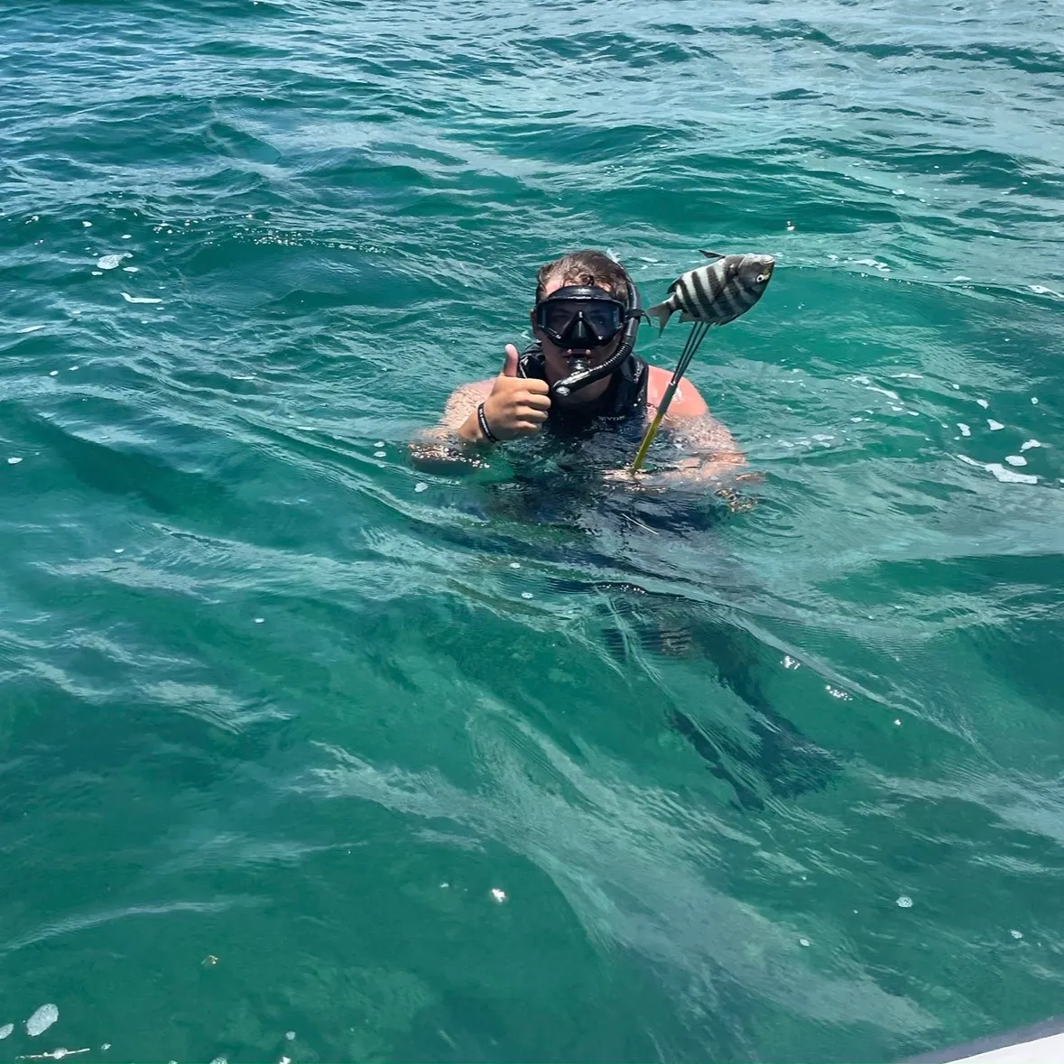 Sheepshead caught on Fishbrain