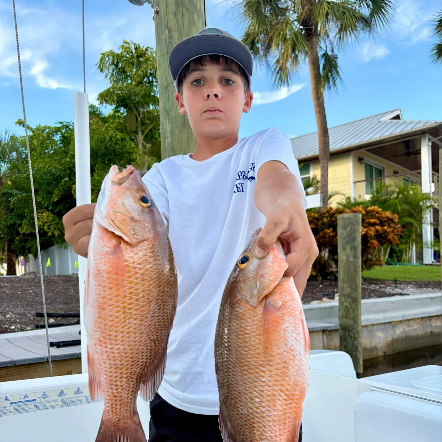 Mangrove snapper caught on Fishbrain