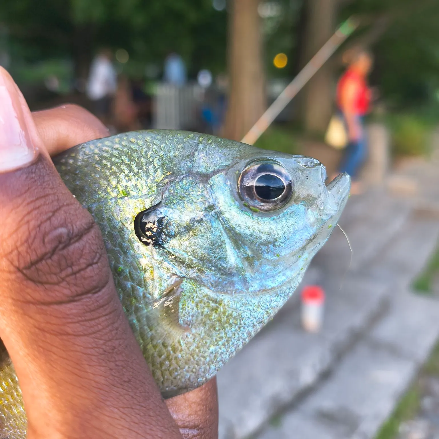 catch