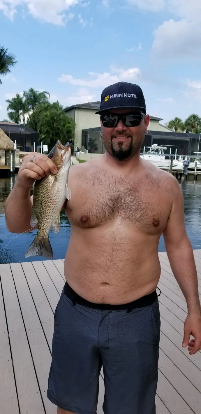 Post image from Wheelinreelin