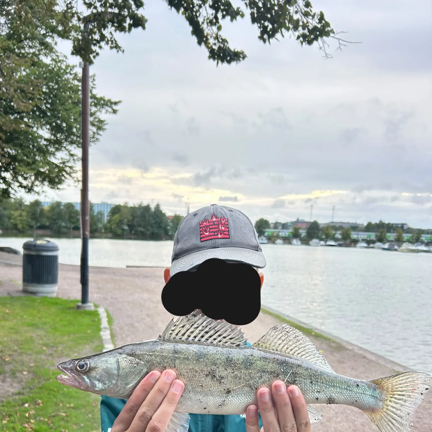 Zander caught on Fishbrain