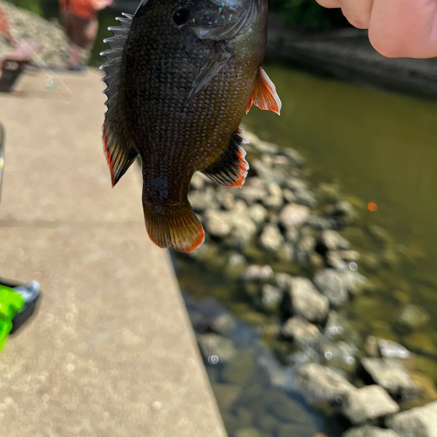 catch