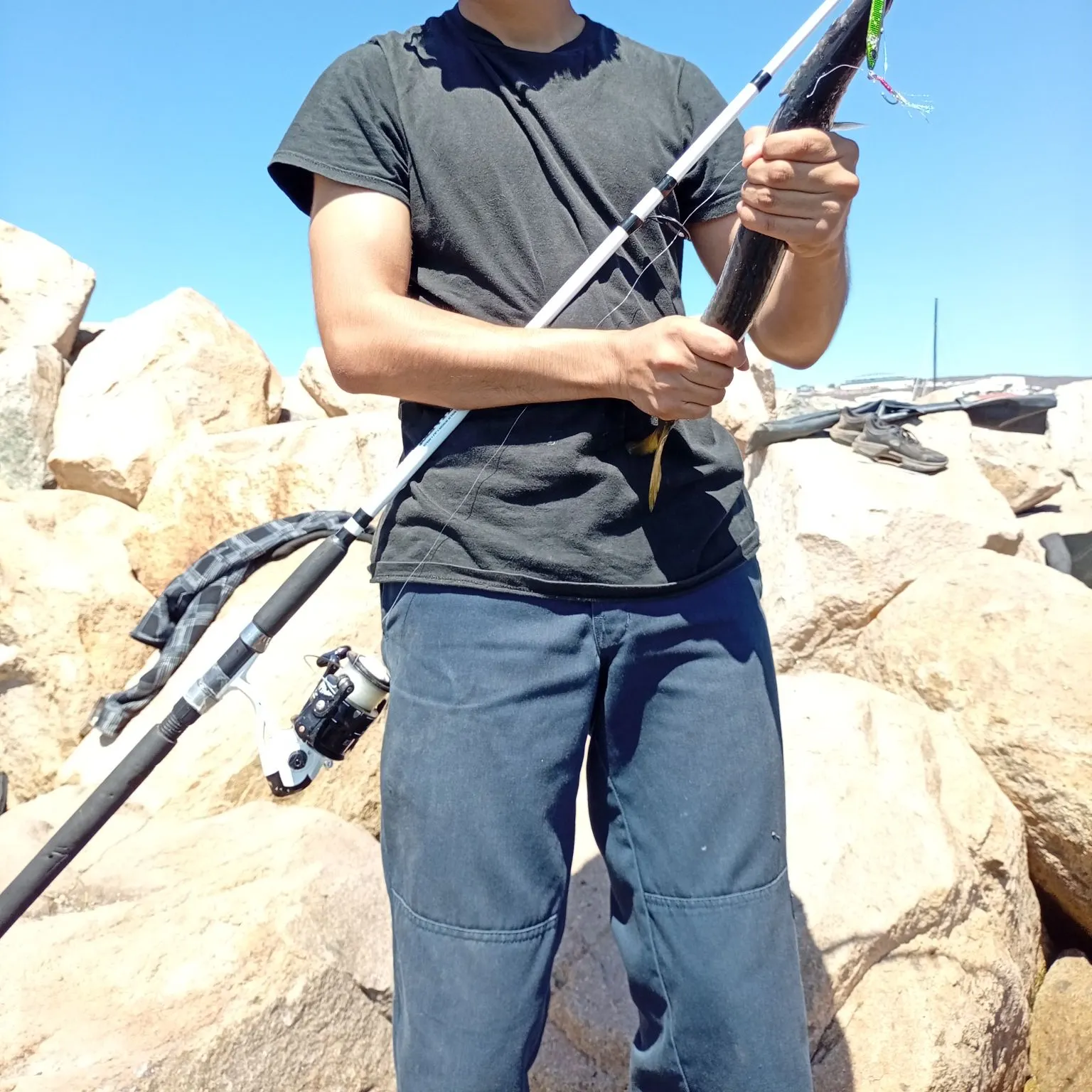 The most recent Mexican barracuda catches on Fishbrain