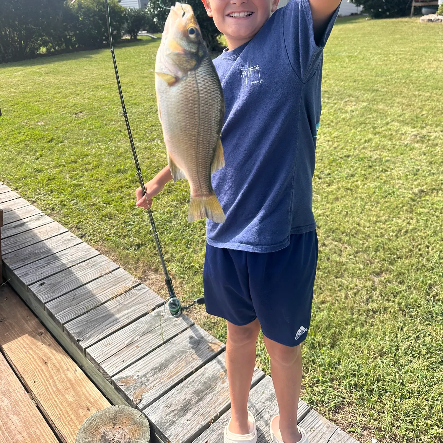 White perch caught on Fishbrain