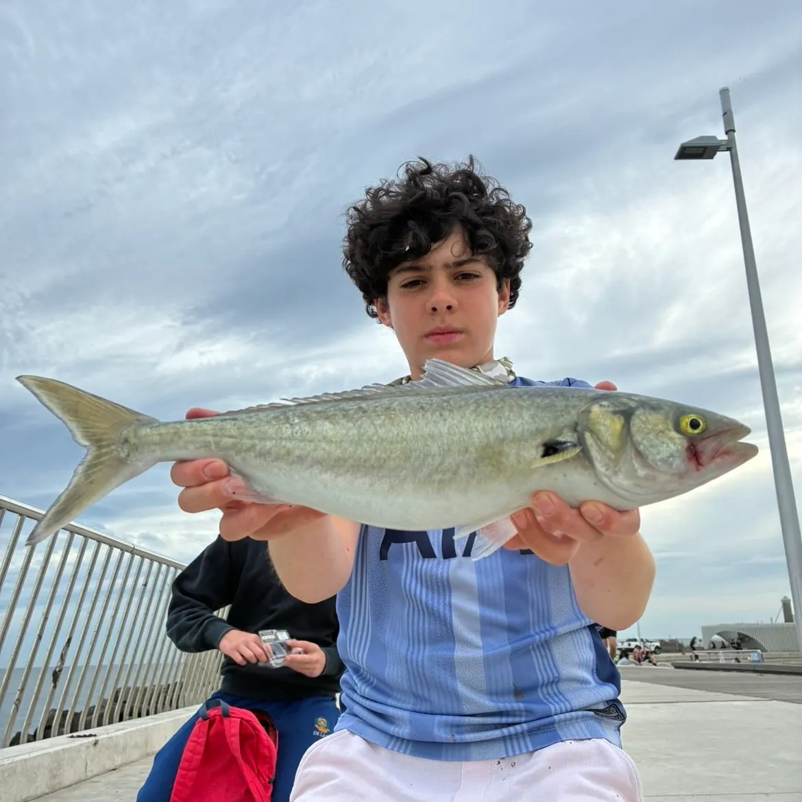 Eastern Australian salmon caught on Fishbrain