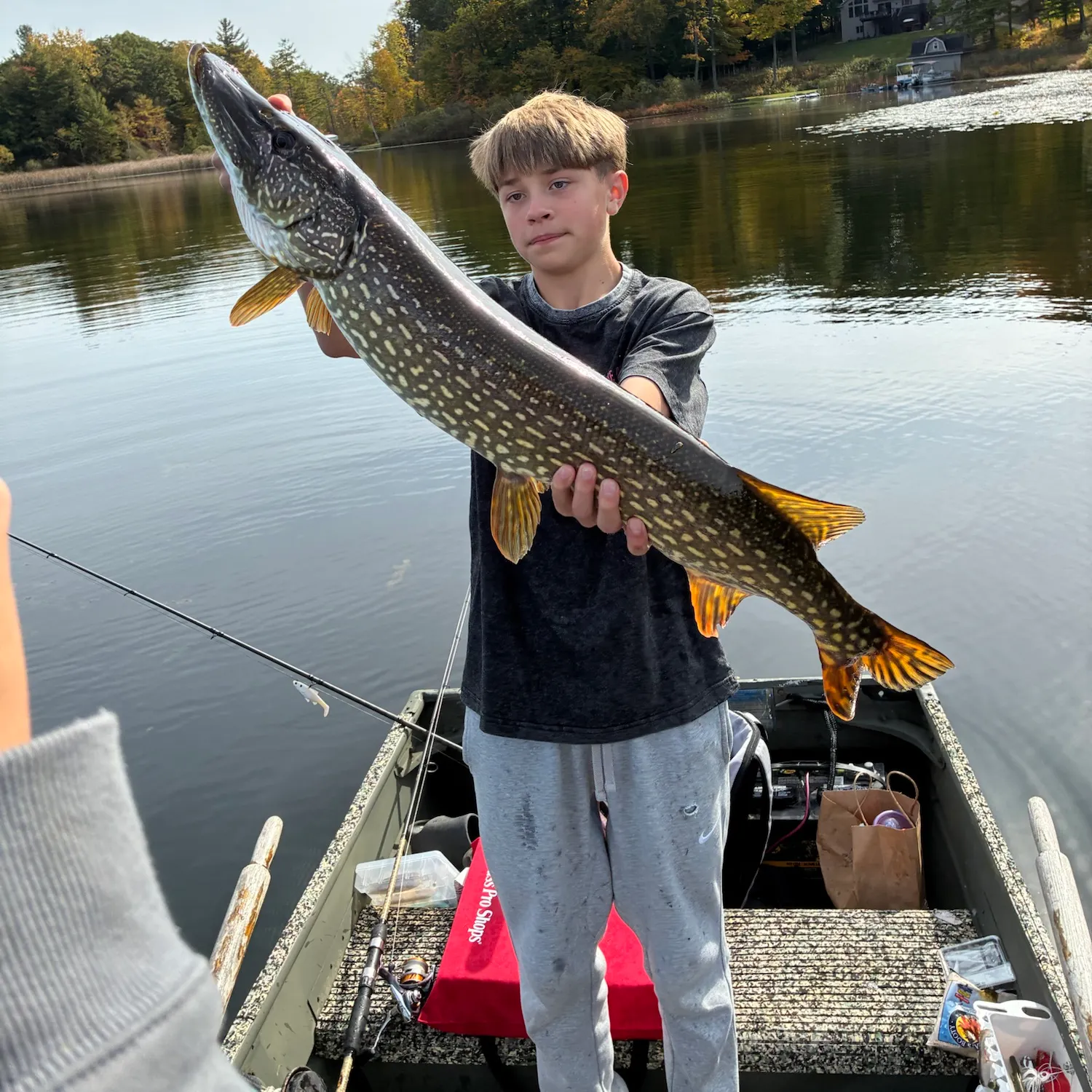 Northern pike caught on Fishbrain