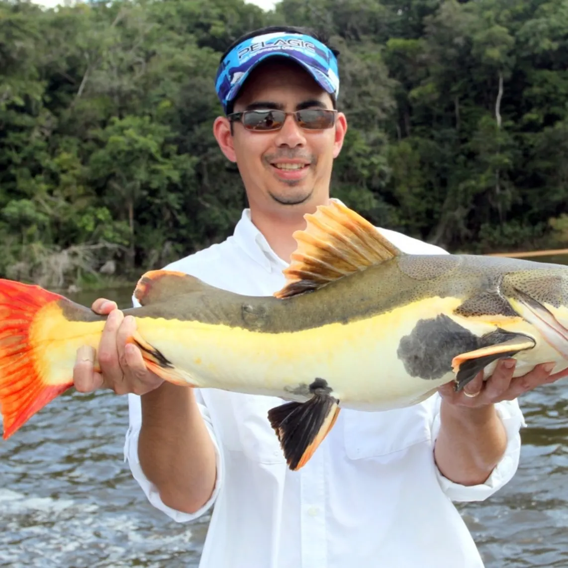 The most recent Redtail catfish catches on Fishbrain
