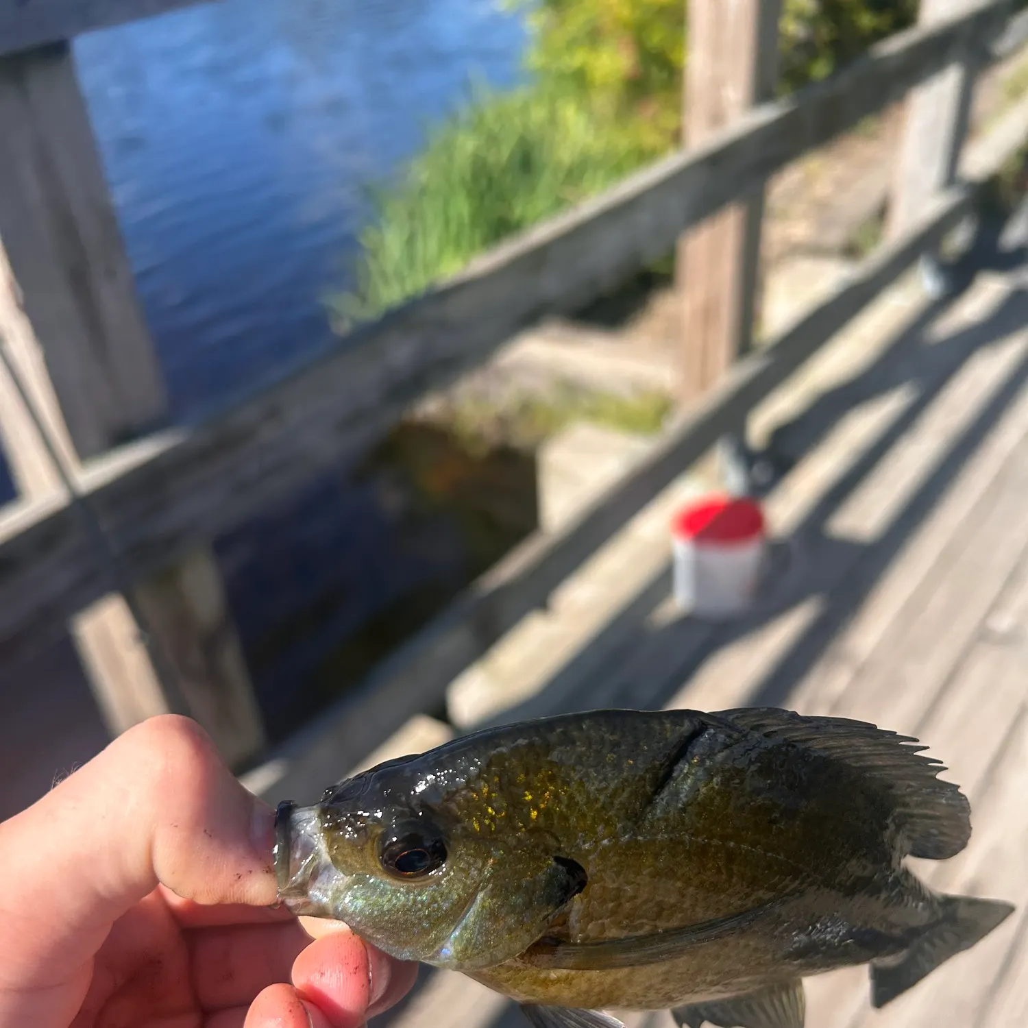 catch