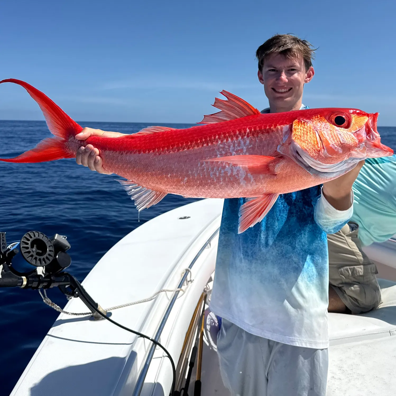 The most recent Queen Snapper catches on Fishbrain