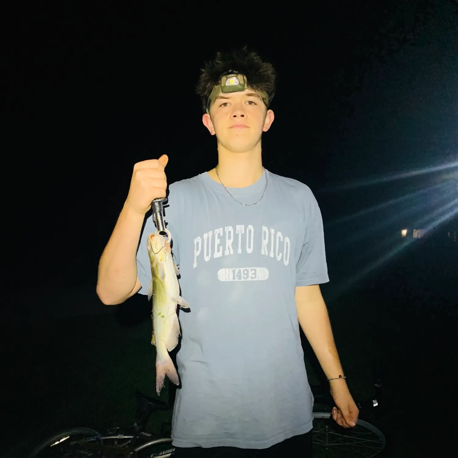 Channel catfish caught on Fishbrain