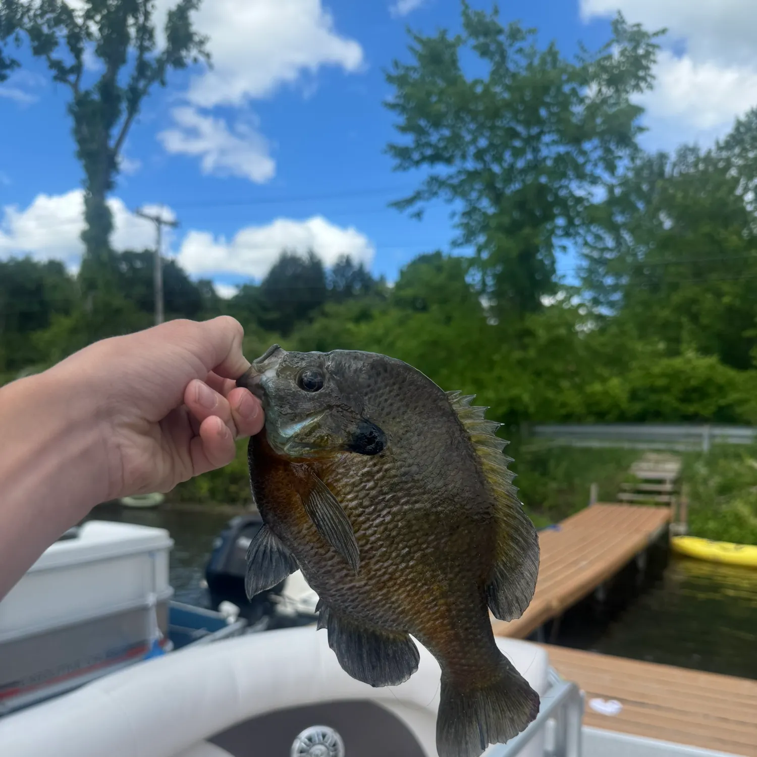 catch