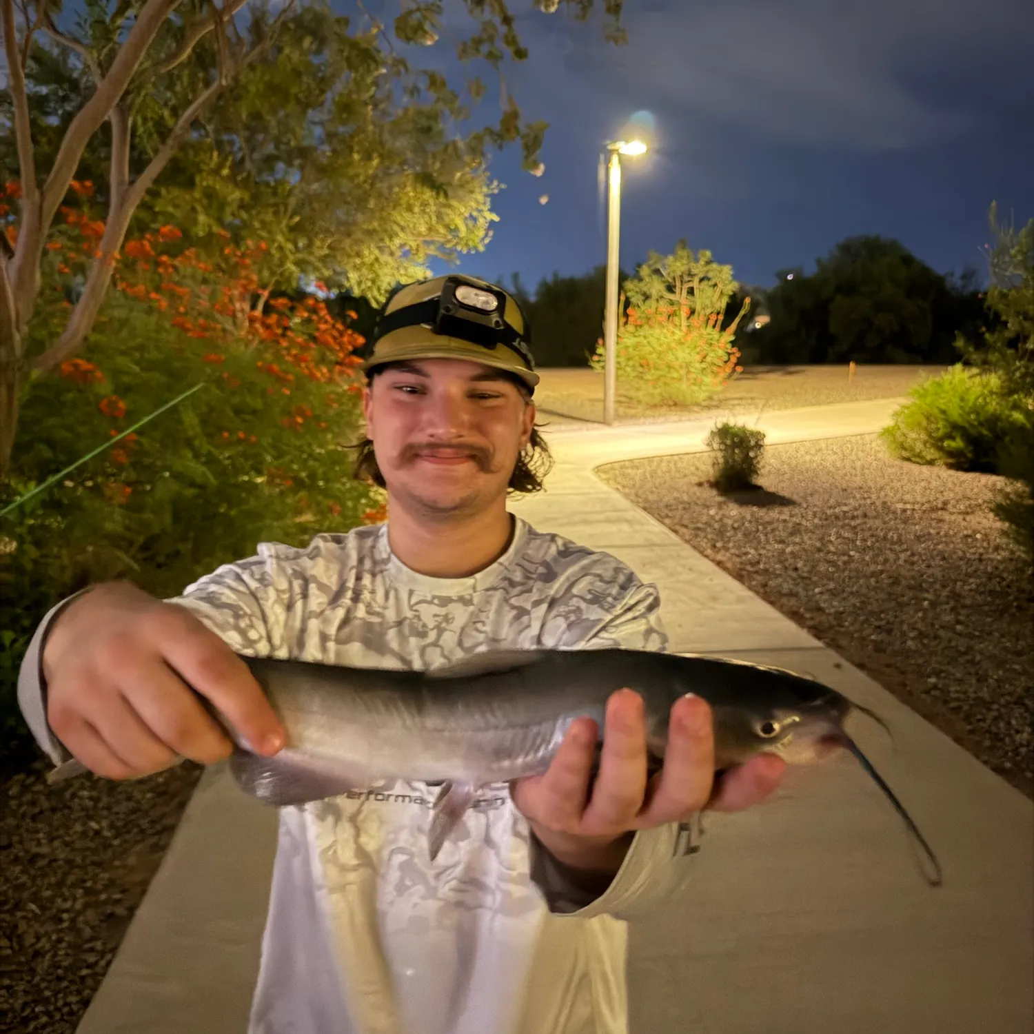Channel catfish caught on Fishbrain