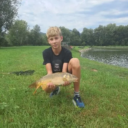 The most recent Rainbow trout catches on Fishbrain