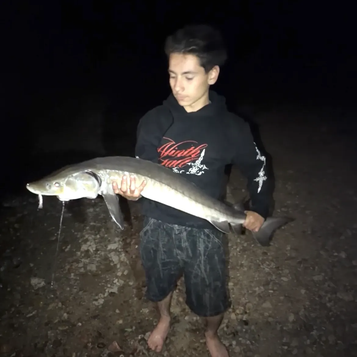 Lake sturgeon caught on Fishbrain