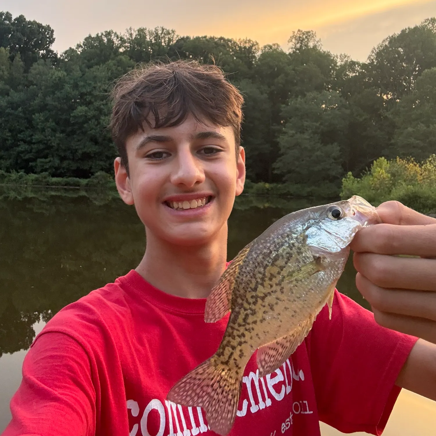 Black crappie caught on Fishbrain
