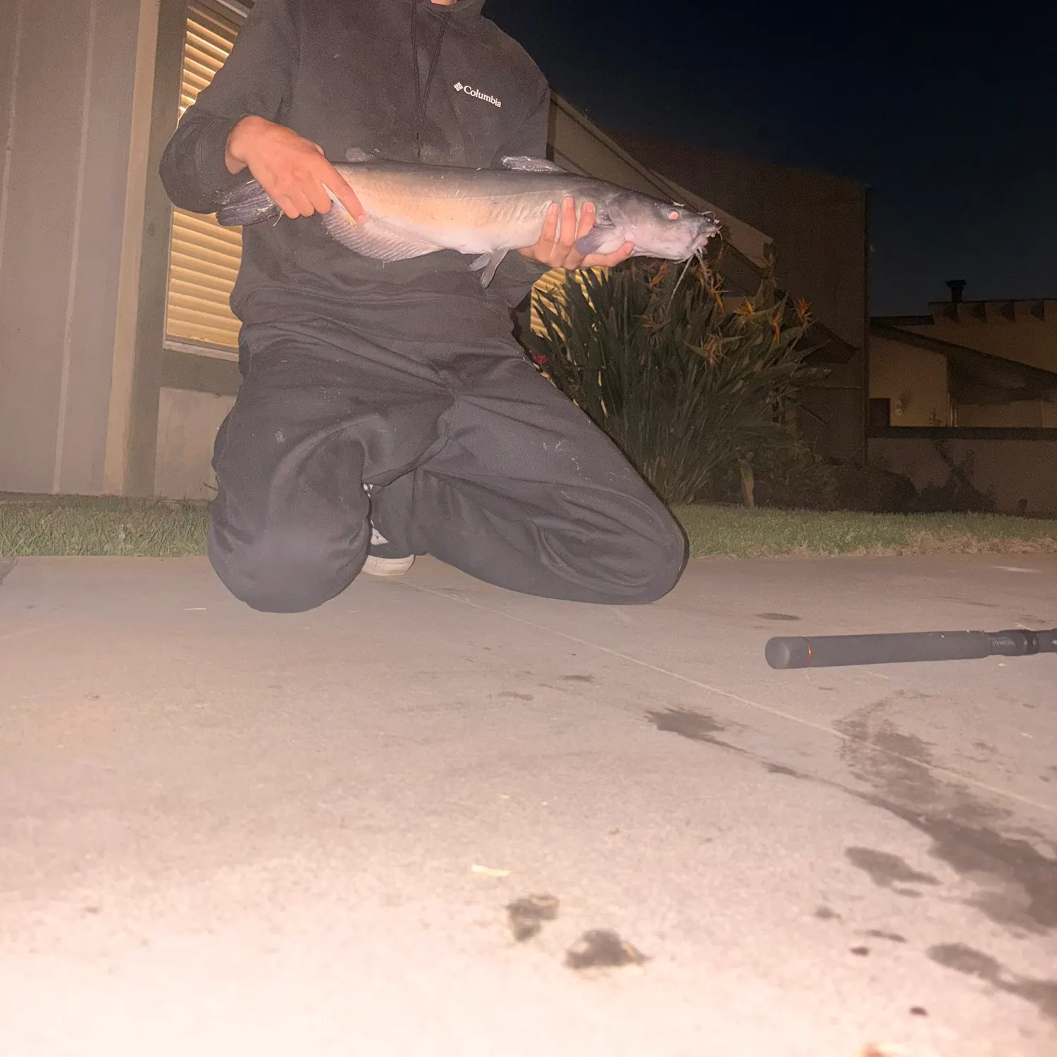 Fish caught on Fishbrain