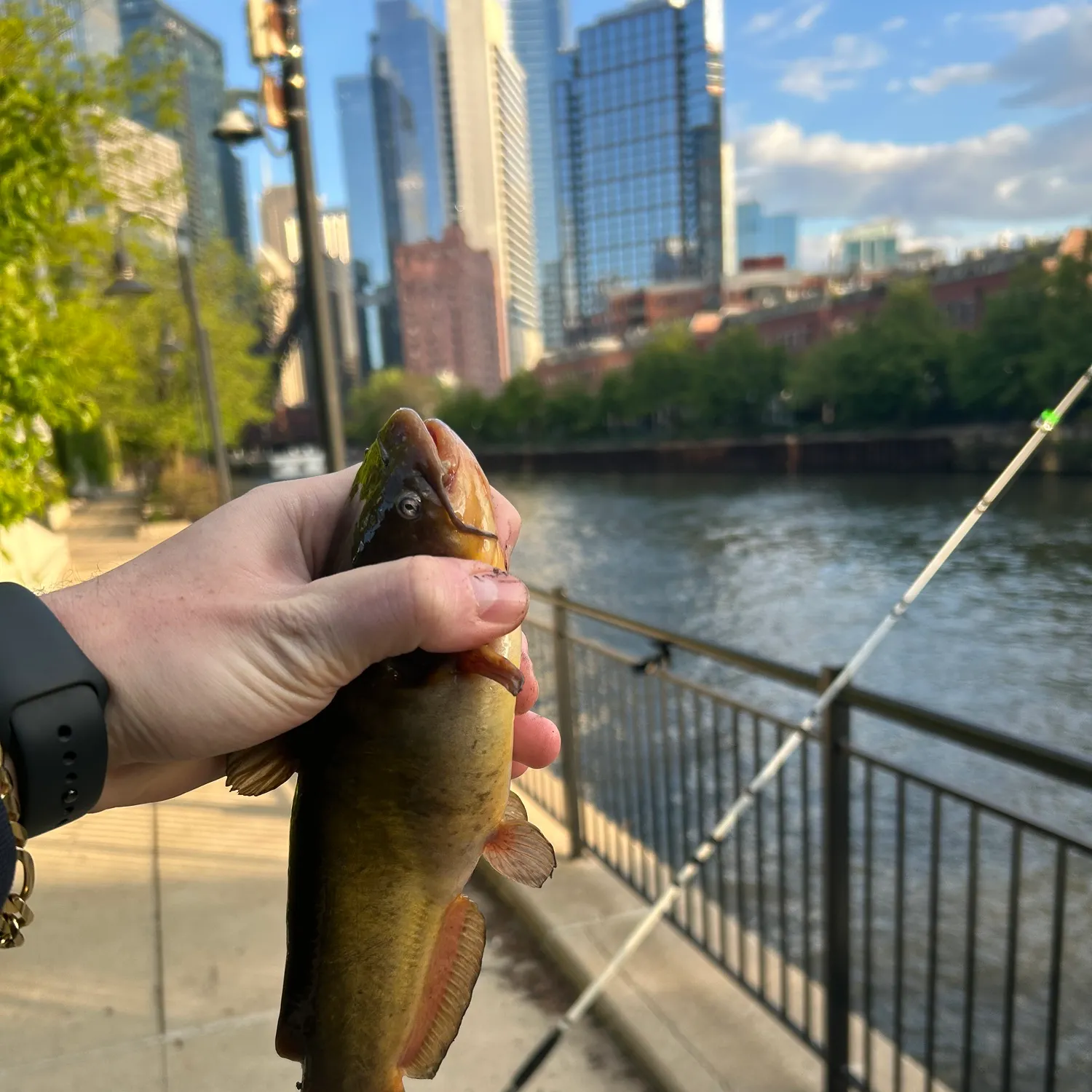 catch