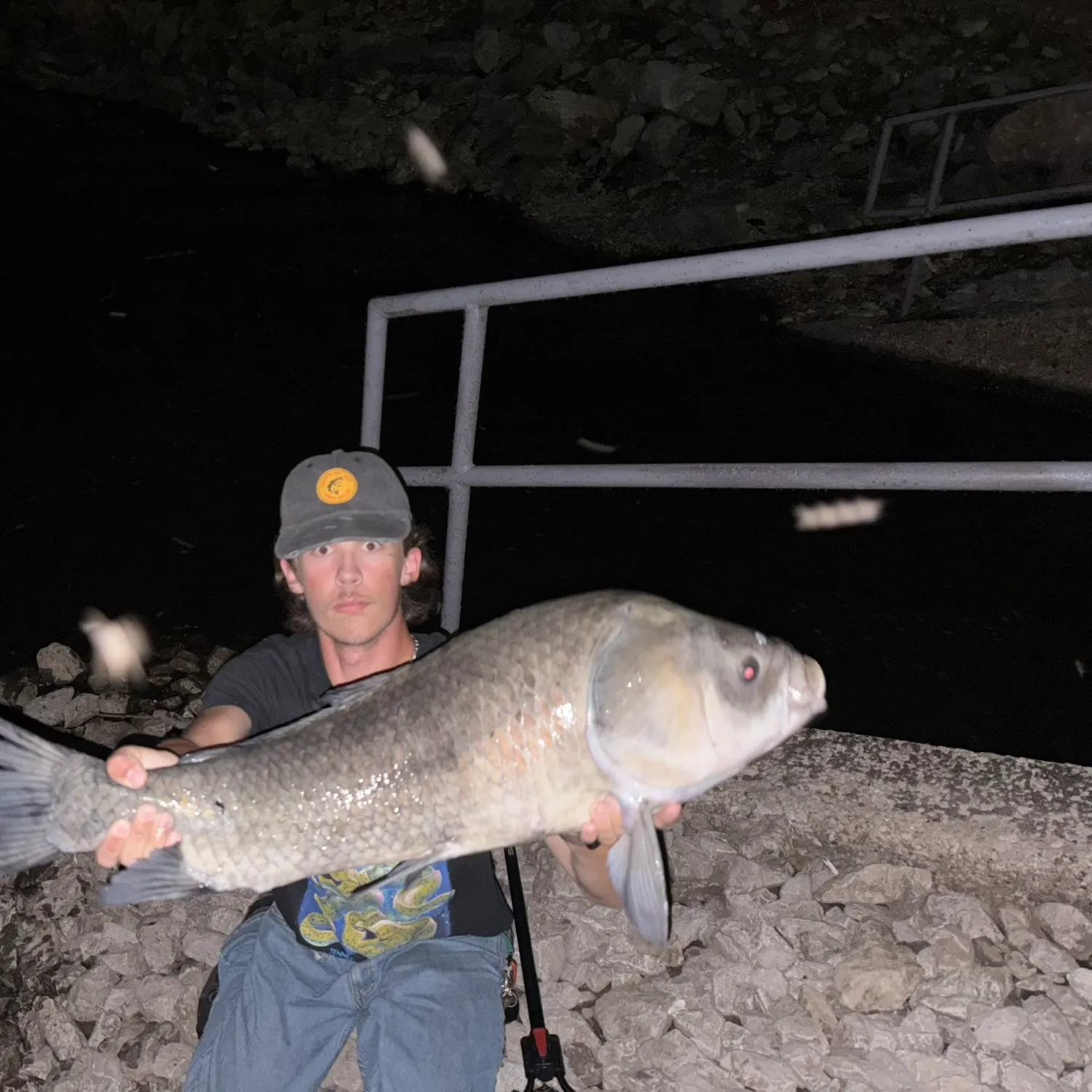 Bigmouth buffalo caught on Fishbrain