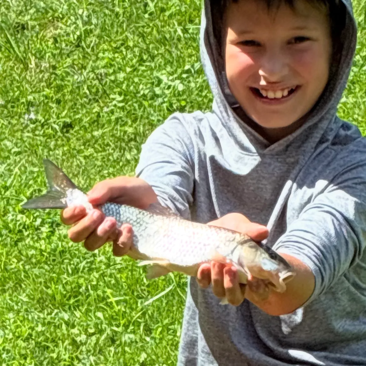Tarpon caught on Fishbrain
