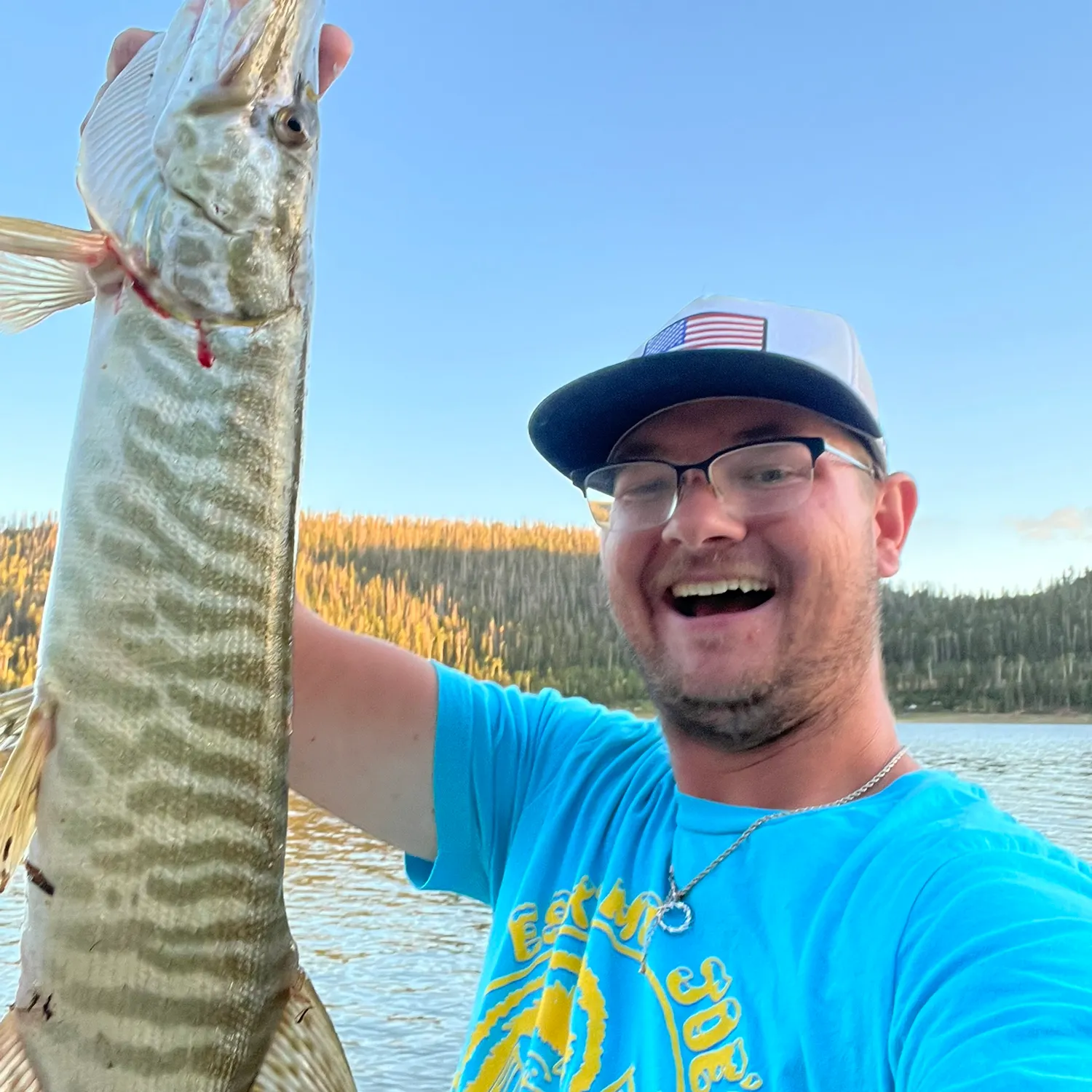 Tiger muskie caught on Fishbrain