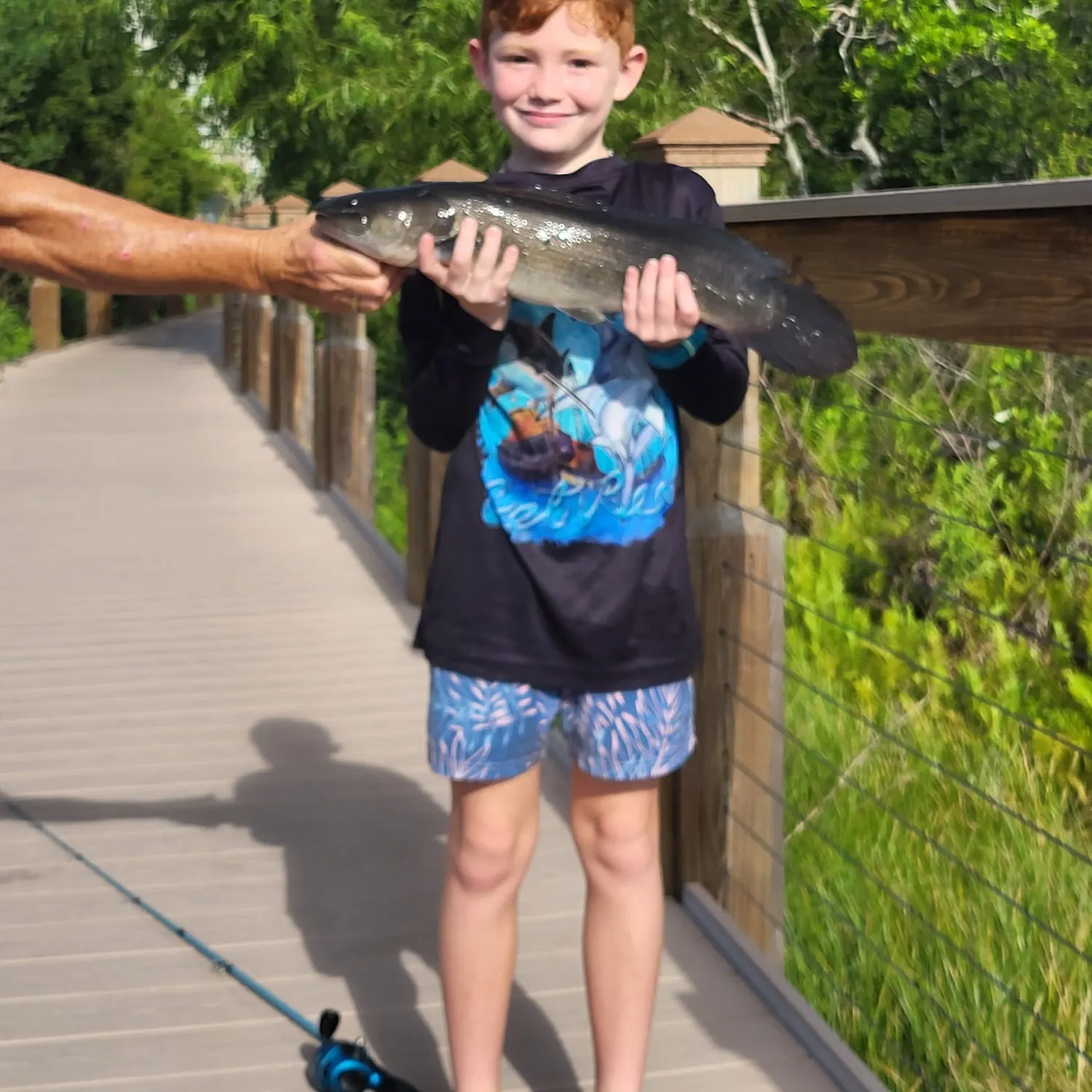 The most recent Ruddy bowfin catches on Fishbrain