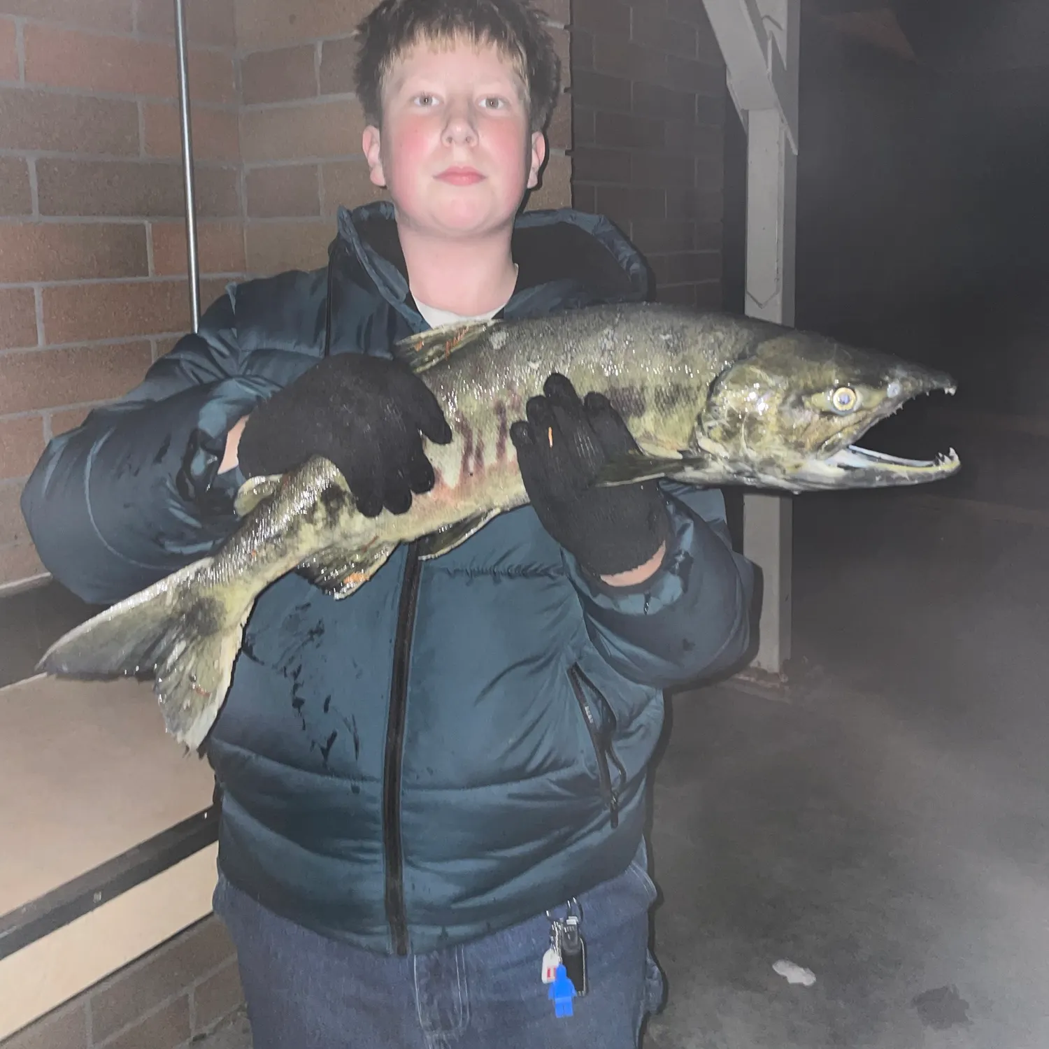 The most recent Chum salmon catches on Fishbrain